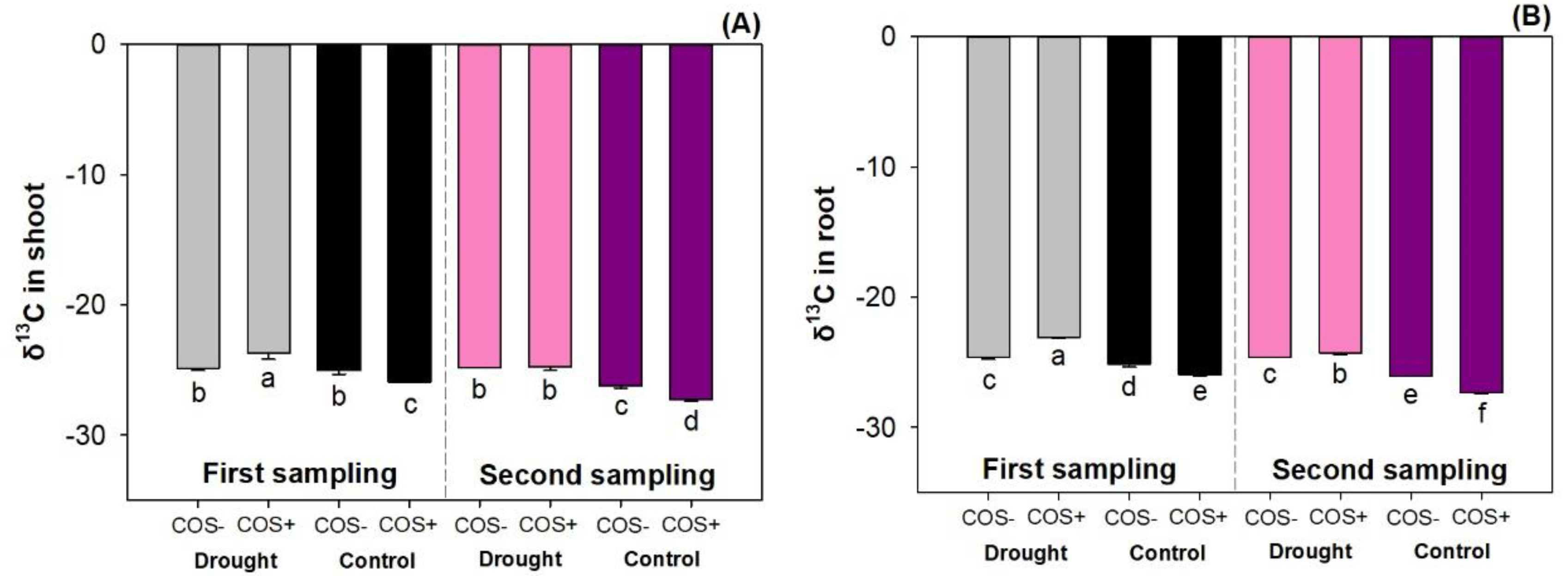 Forests 11 00526 g006