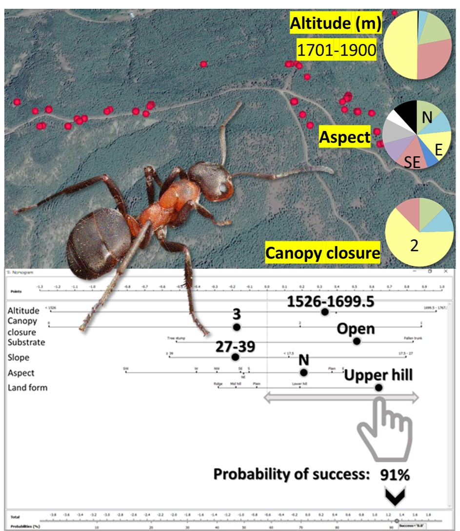 Forests Free Full Text Nest Survival And Transplantation Success Of Formica Rufa Hymenoptera Formicidae Ants In Southern Turkey A Predictive Approach Html