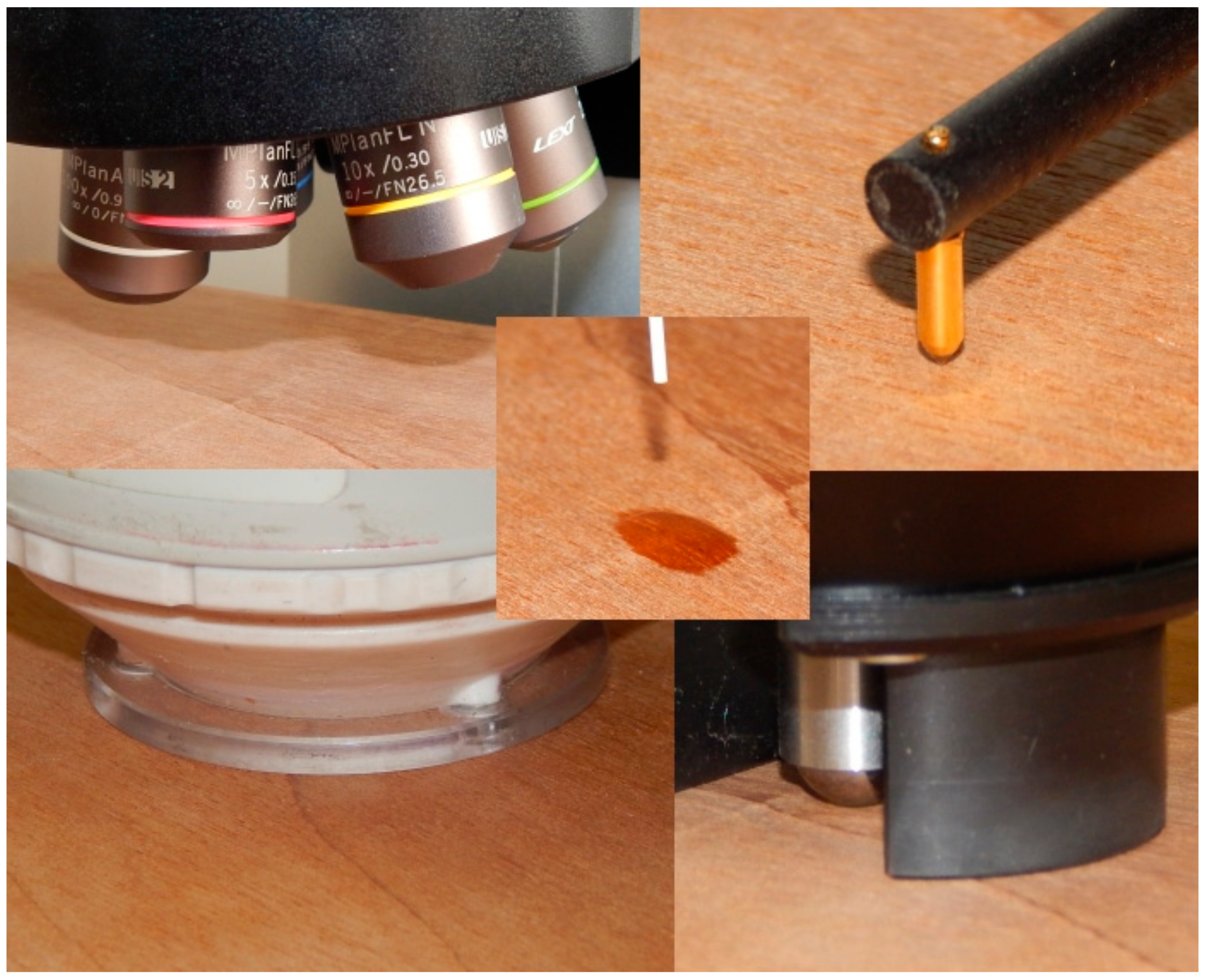 Forests 11 00556 g004