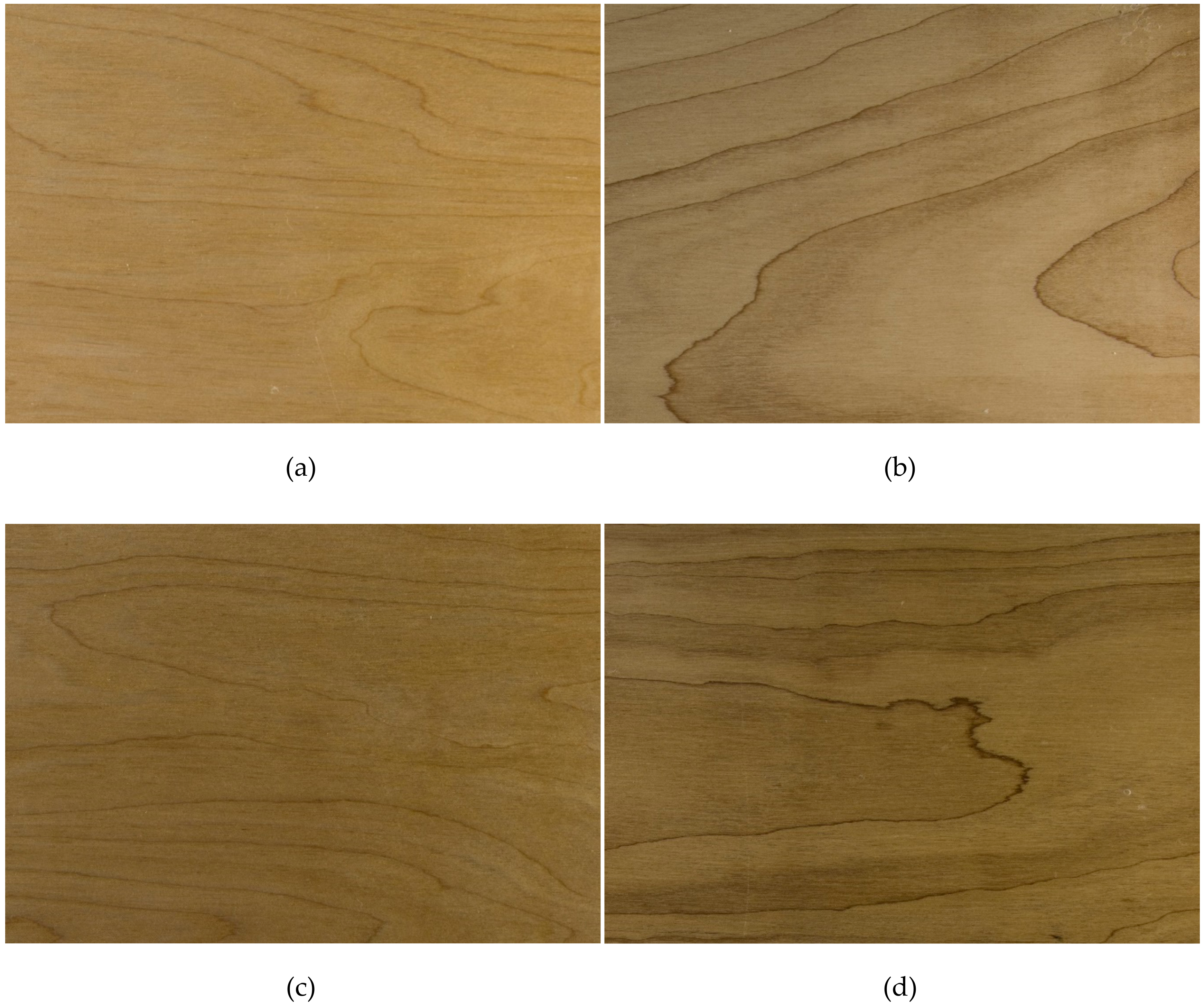 Forests 11 00556 g019