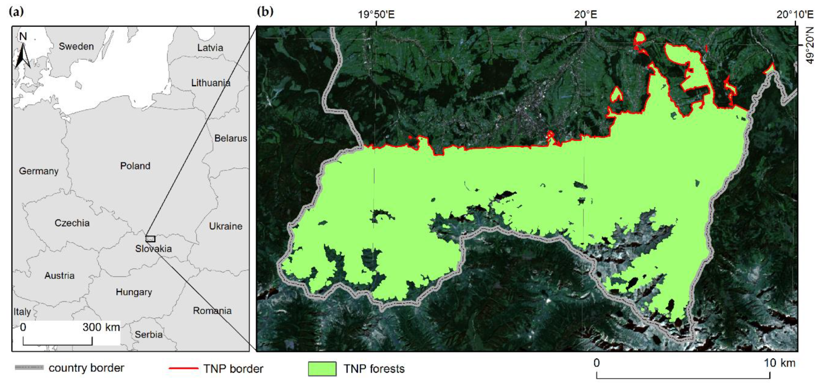 Forests 11 00579 g001