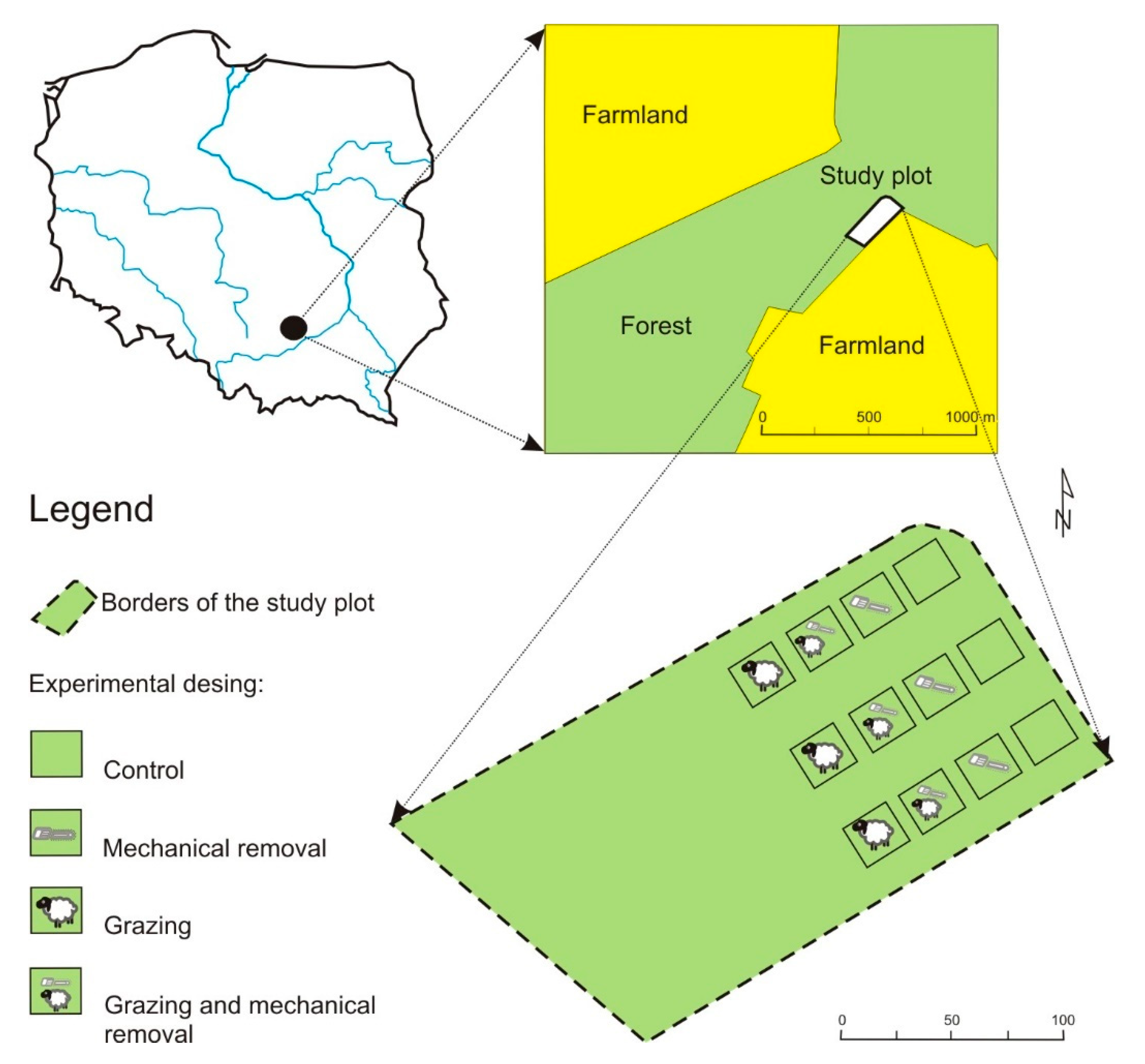 Forests 11 00582 g001