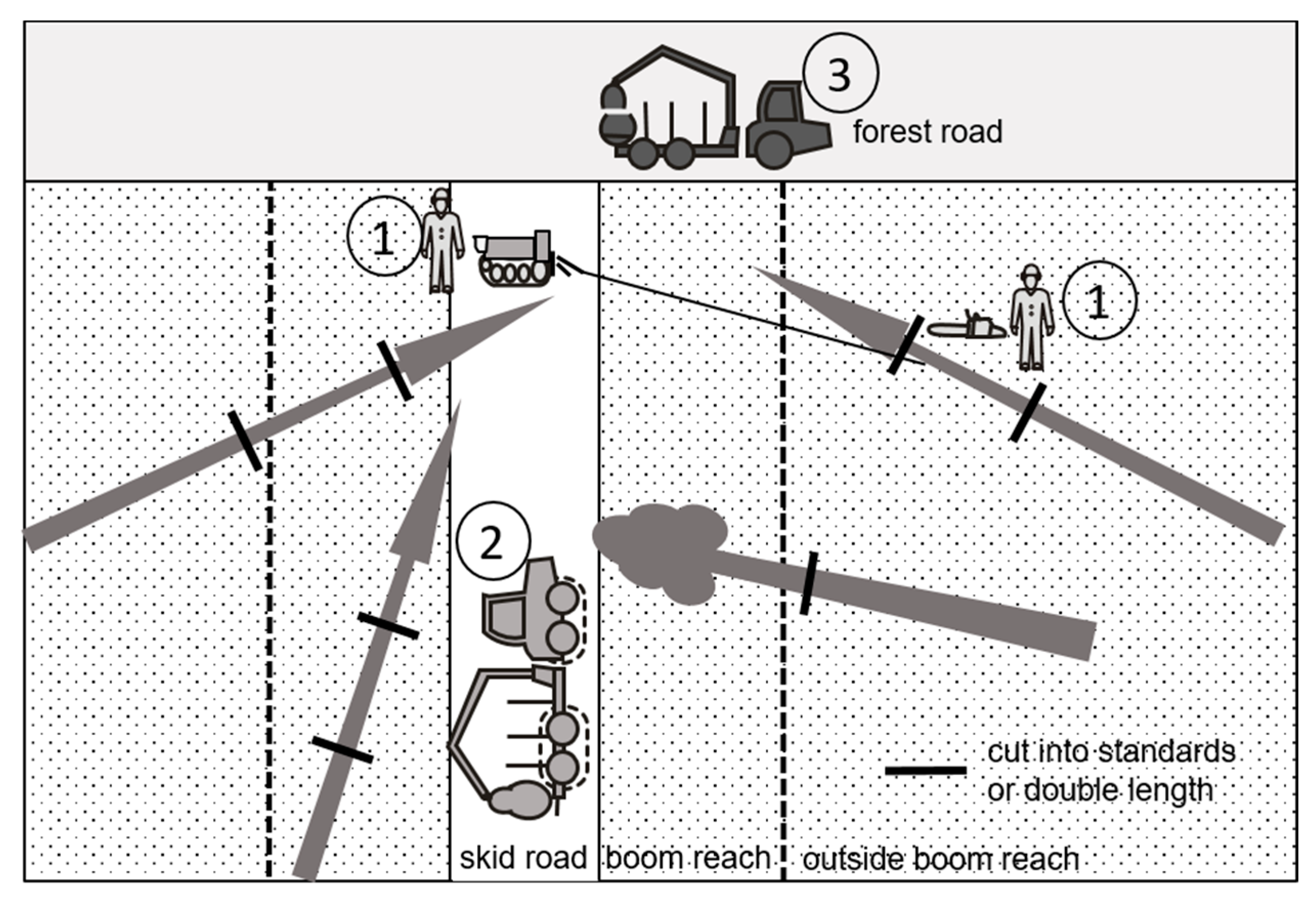 Forests 11 00611 g002