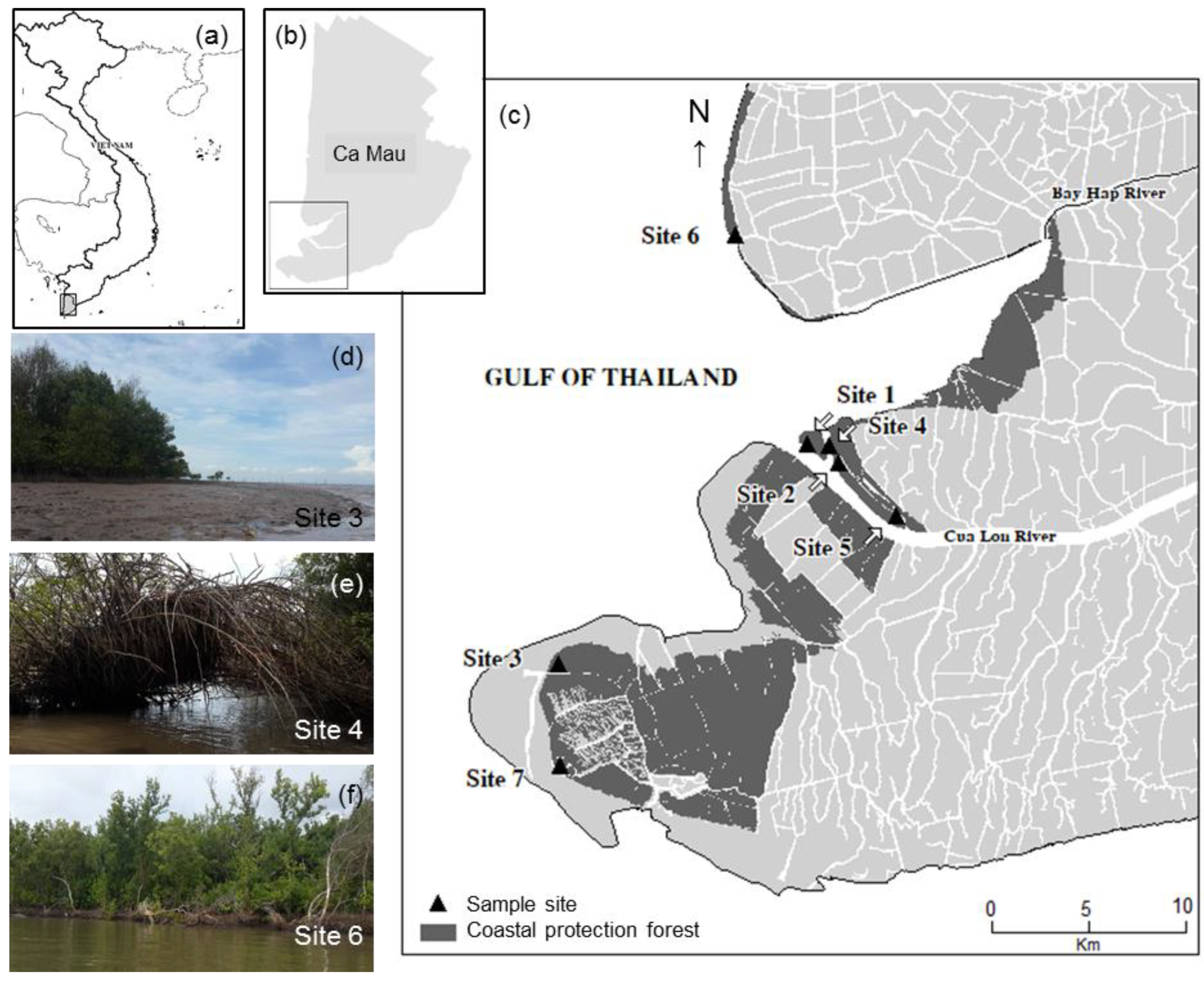 Forests 11 00615 g001 Forests 11 00615 g001