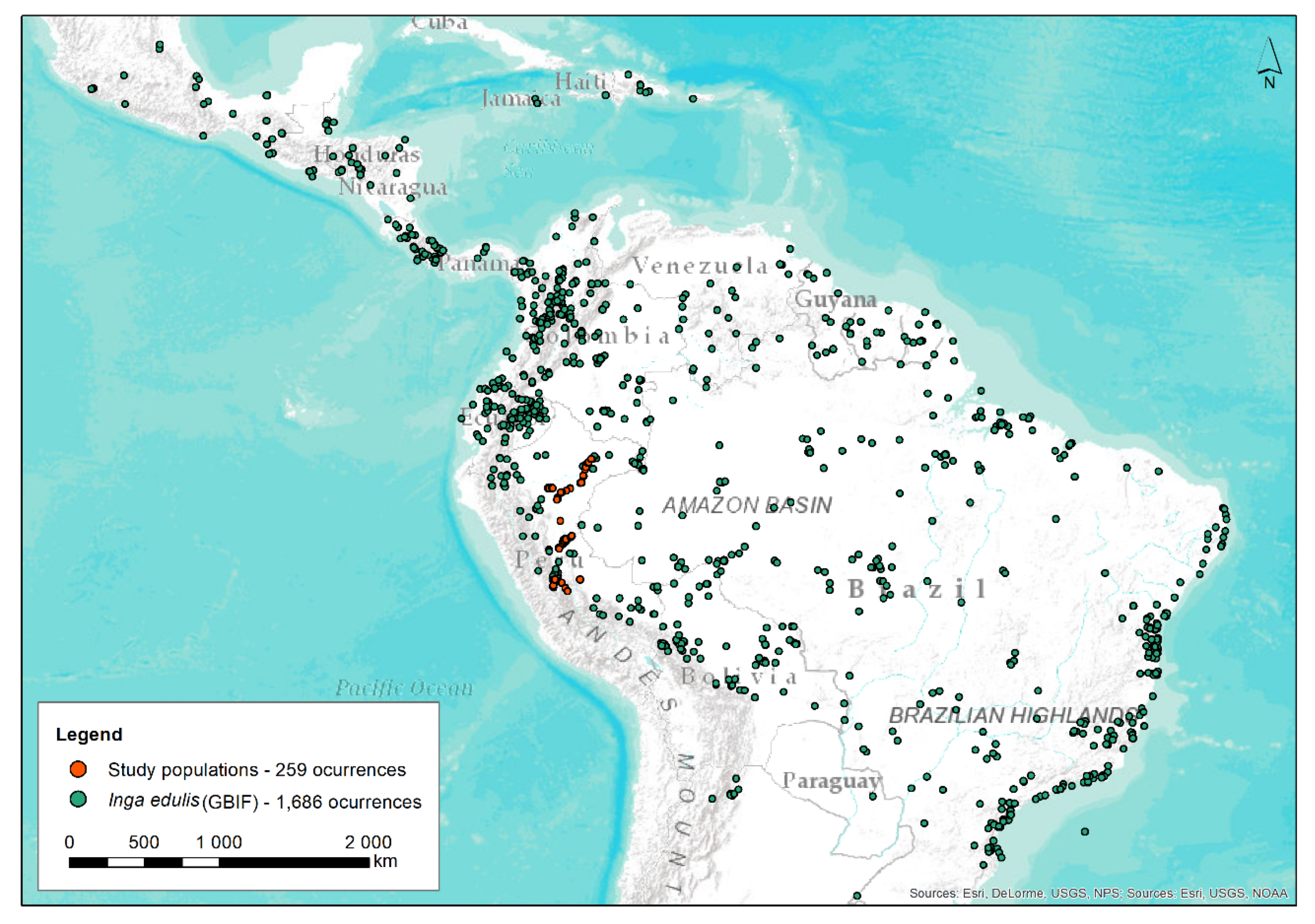 Forests | Free Full-Text | Genetic Structure and Pod Morphology of Inga  edulis Cultivated vs. Wild Populations from the Peruvian Amazon