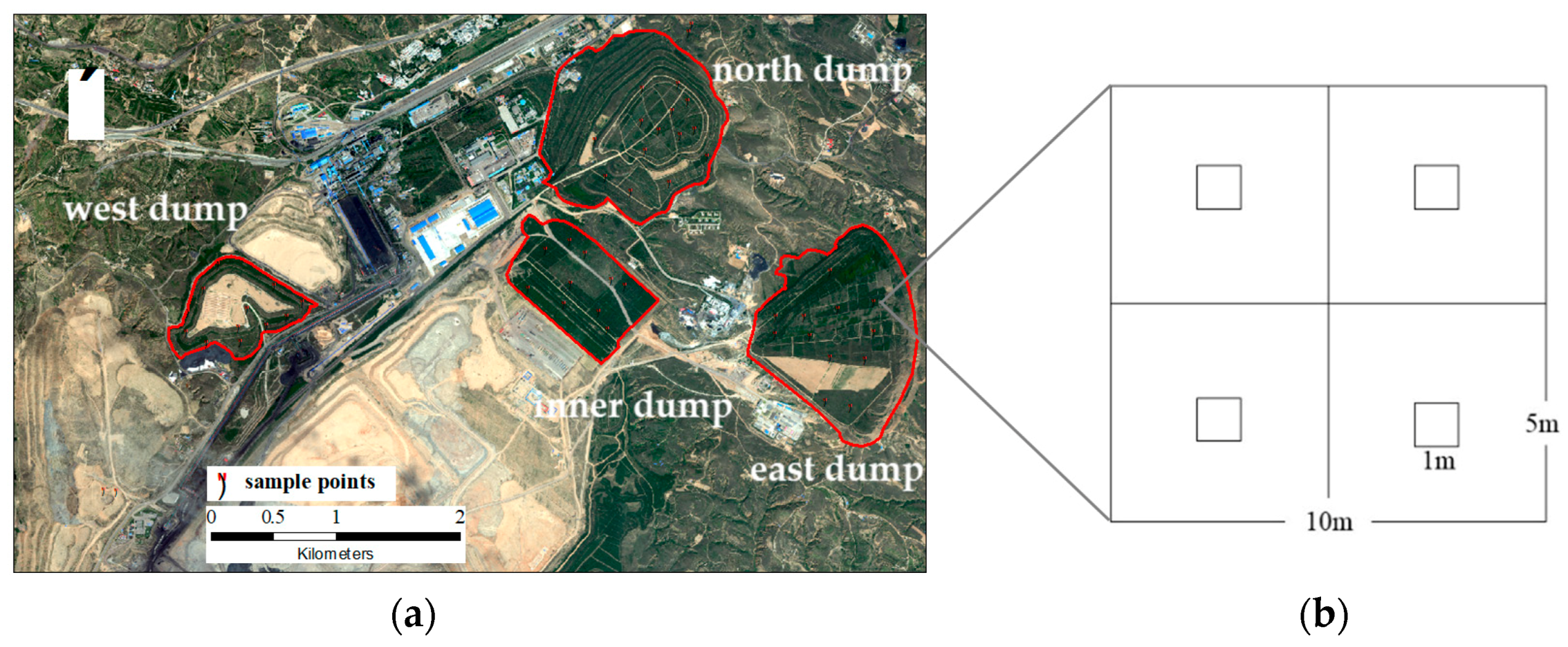 Forests 11 00695 g002