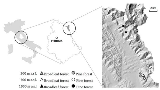 Forests Free Full Text Altitude And Vegetation Affect Soil Organic Carbon Basal Respiration And Microbial Biomass In Apennine Forest Soils Html