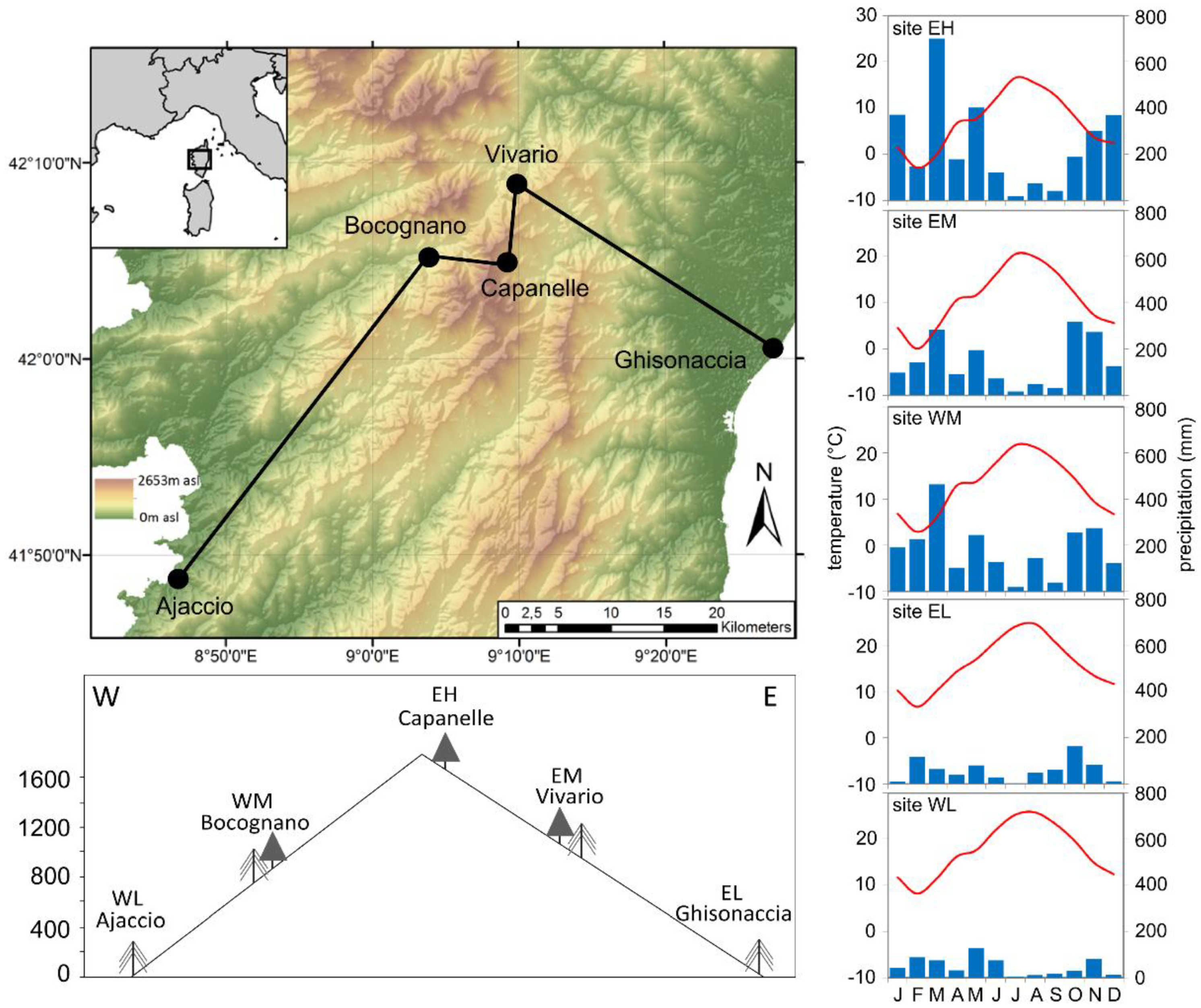 Forests 11 00758 g001 Forests 11 00758 g001
