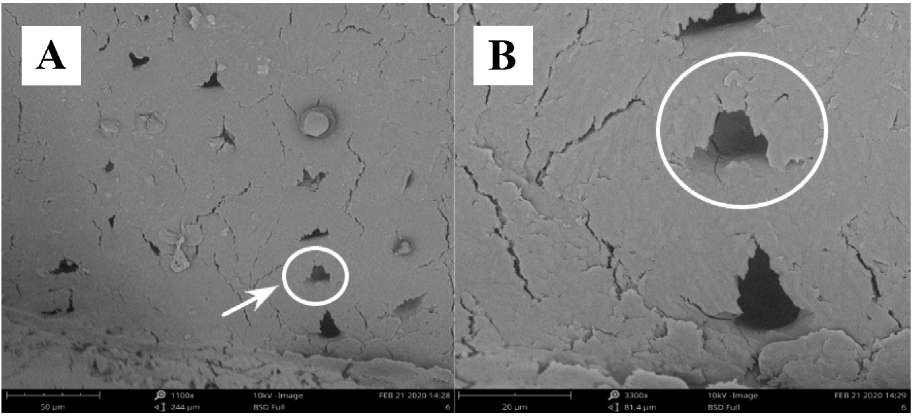 Forests 11 00768 g003