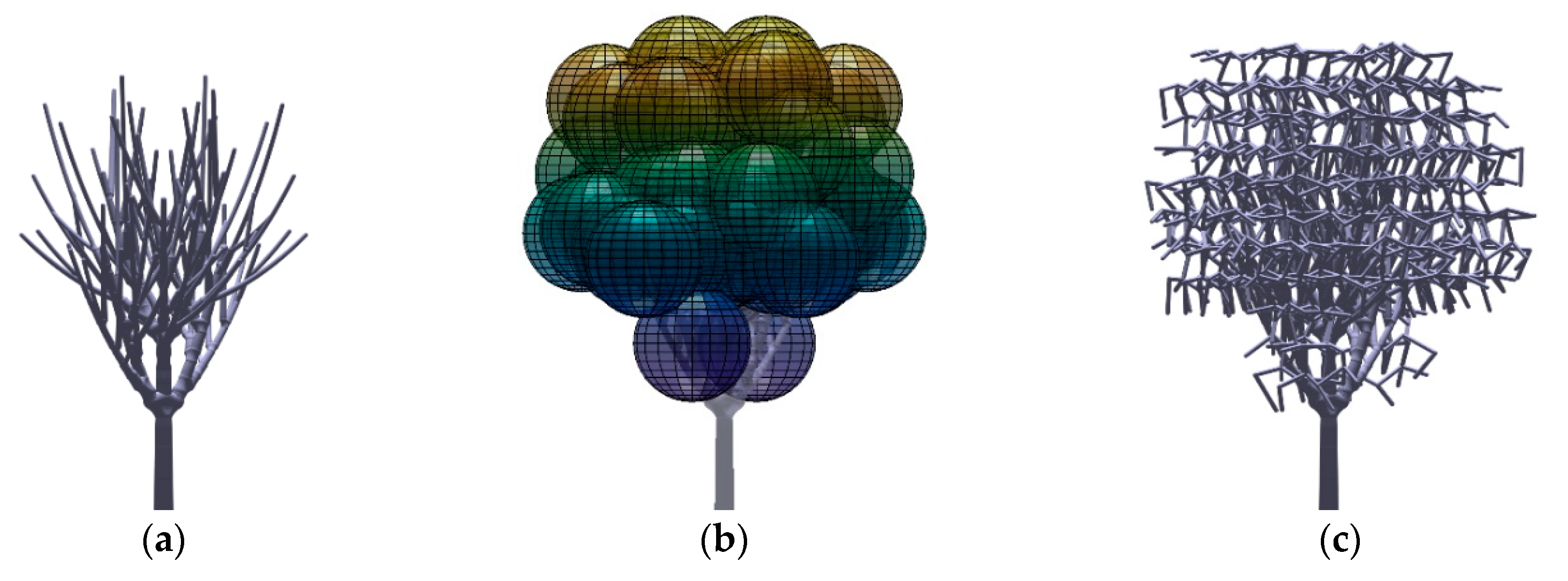 Forests 11 00803 g002