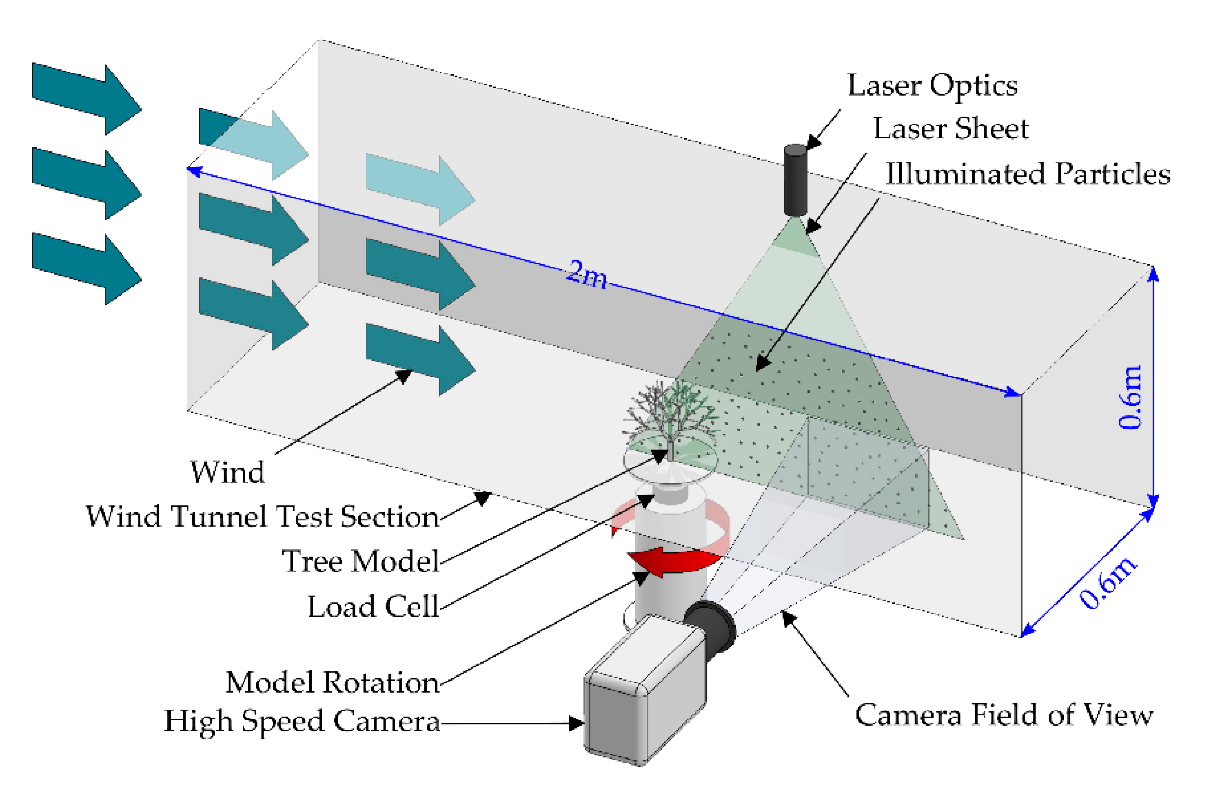 Forests 11 00803 g005