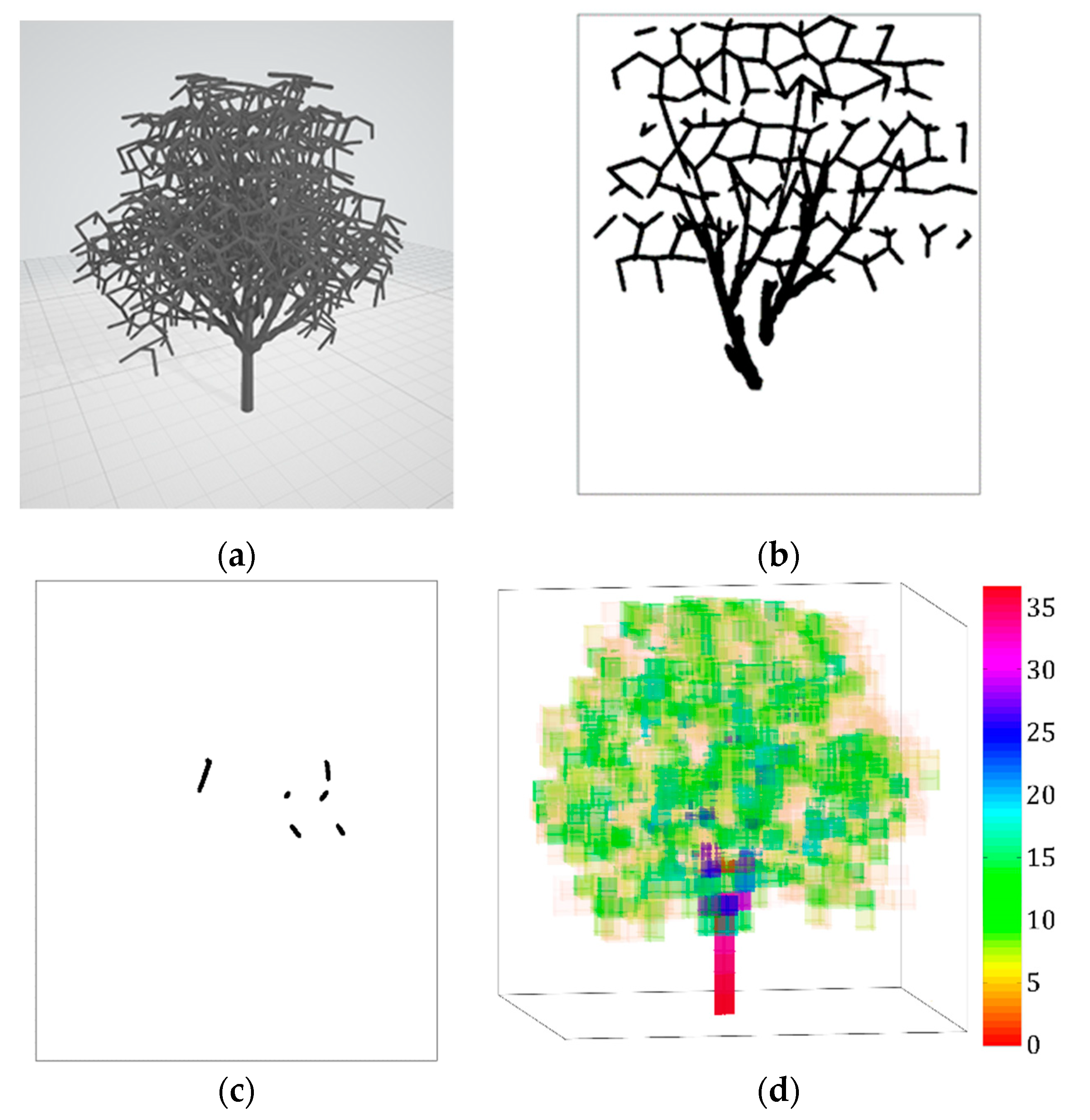Forests 11 00803 g007
