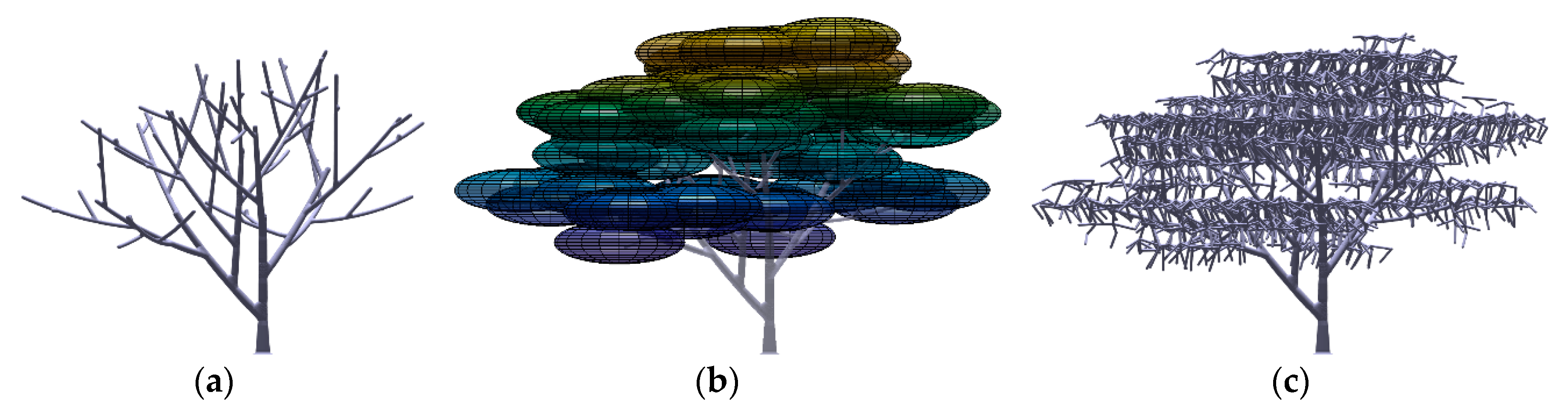 Forests 11 00803 g0a2