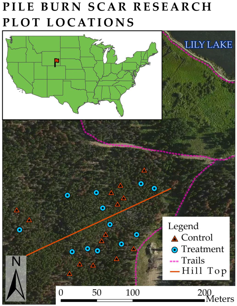 Forests | Free Full-Text | Slash Pile Burn Scar Restoration