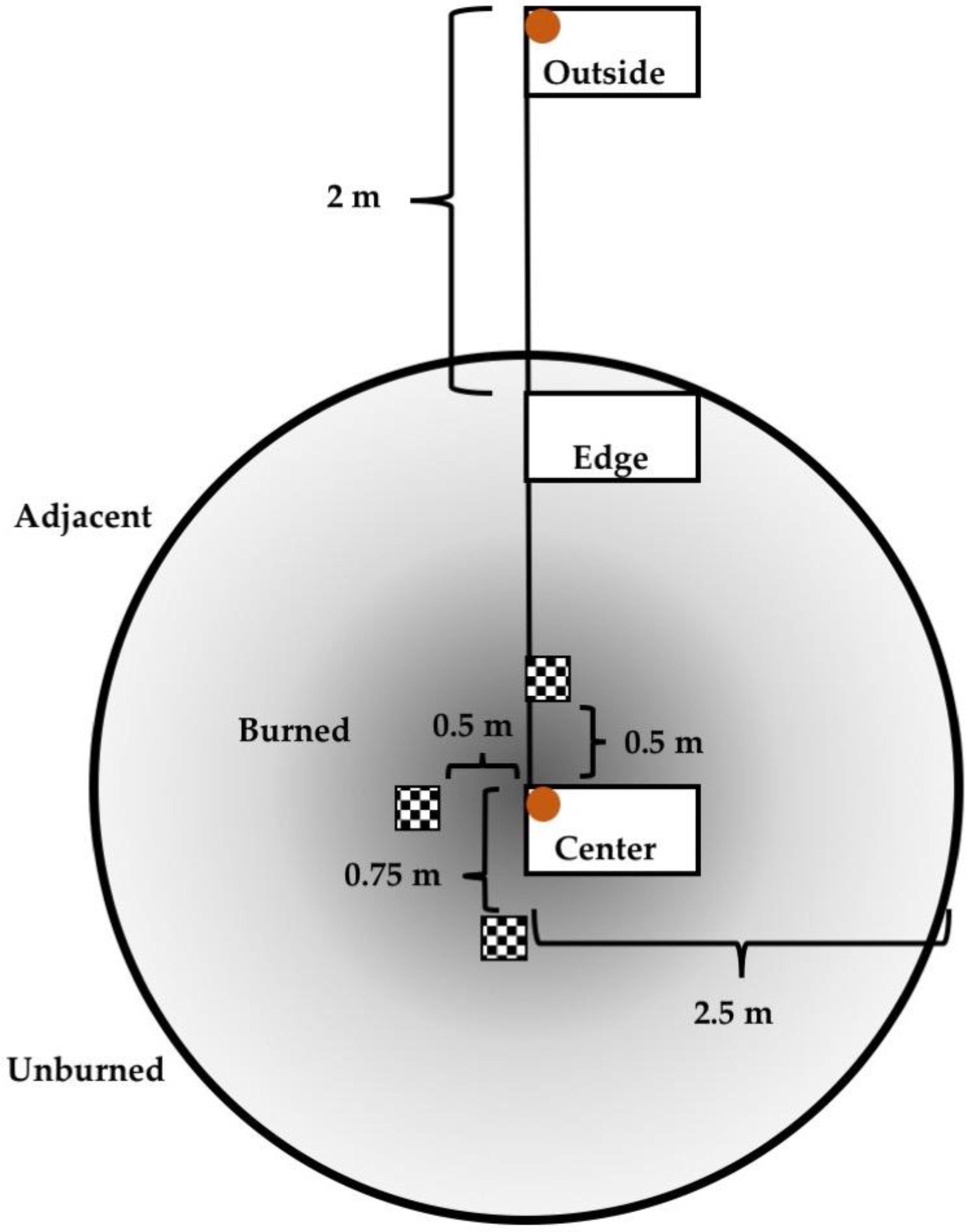 Forests 11 00813 g003