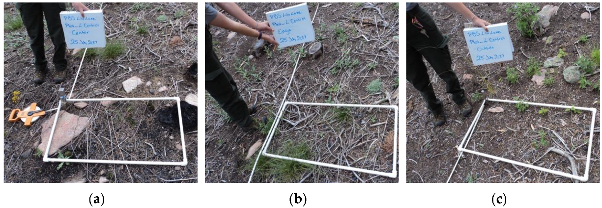 Forests 11 00813 g0a2