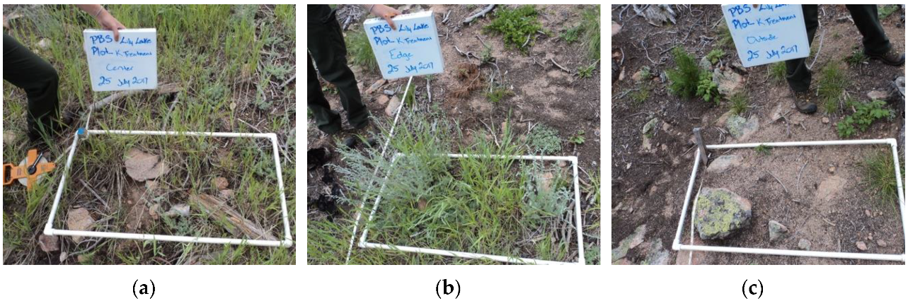 Forests 11 00813 g0a3