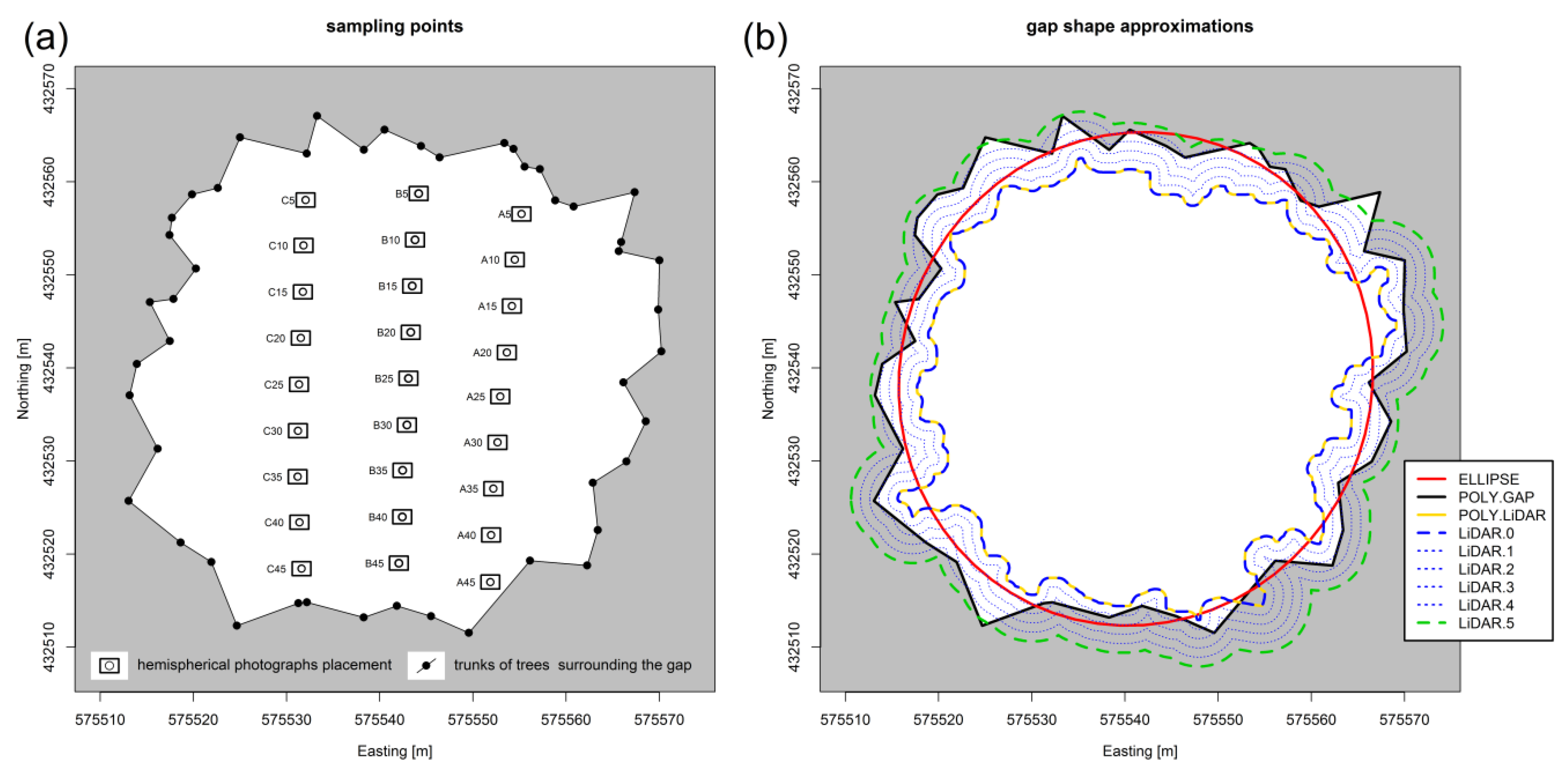 Forests 11 00821 g001
