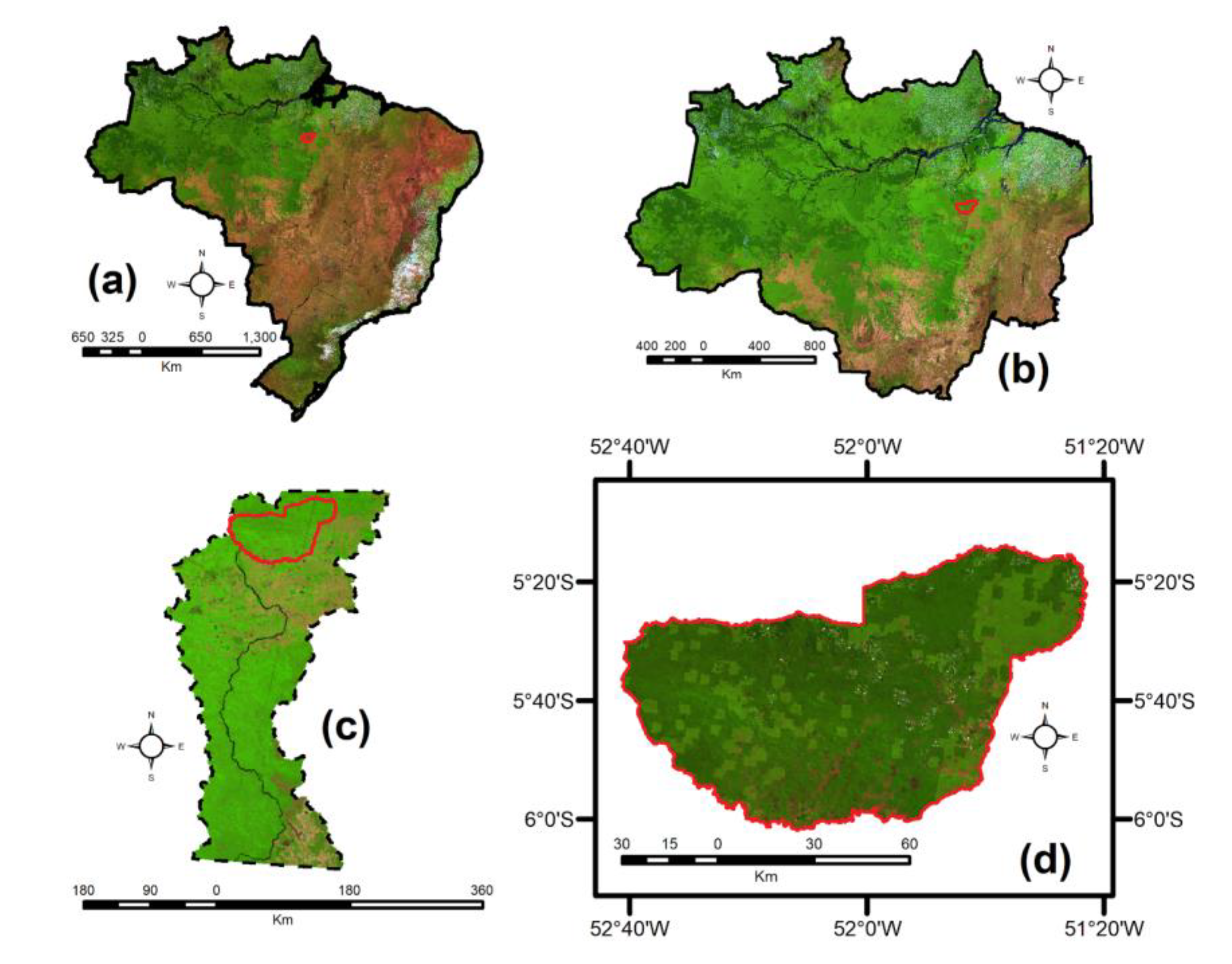 Forests | Free Full-Text | Rapid Recent Deforestation Incursion in a  Vulnerable Indigenous Land in the Brazilian Amazon and Fire-Driven  Emissions of Fine Particulate Aerosol Pollutants