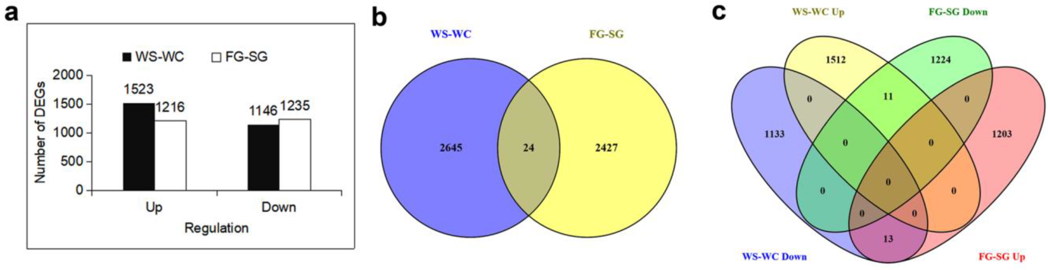 Forests | Free Full-Text | Transcriptome and Co-Expression Network 