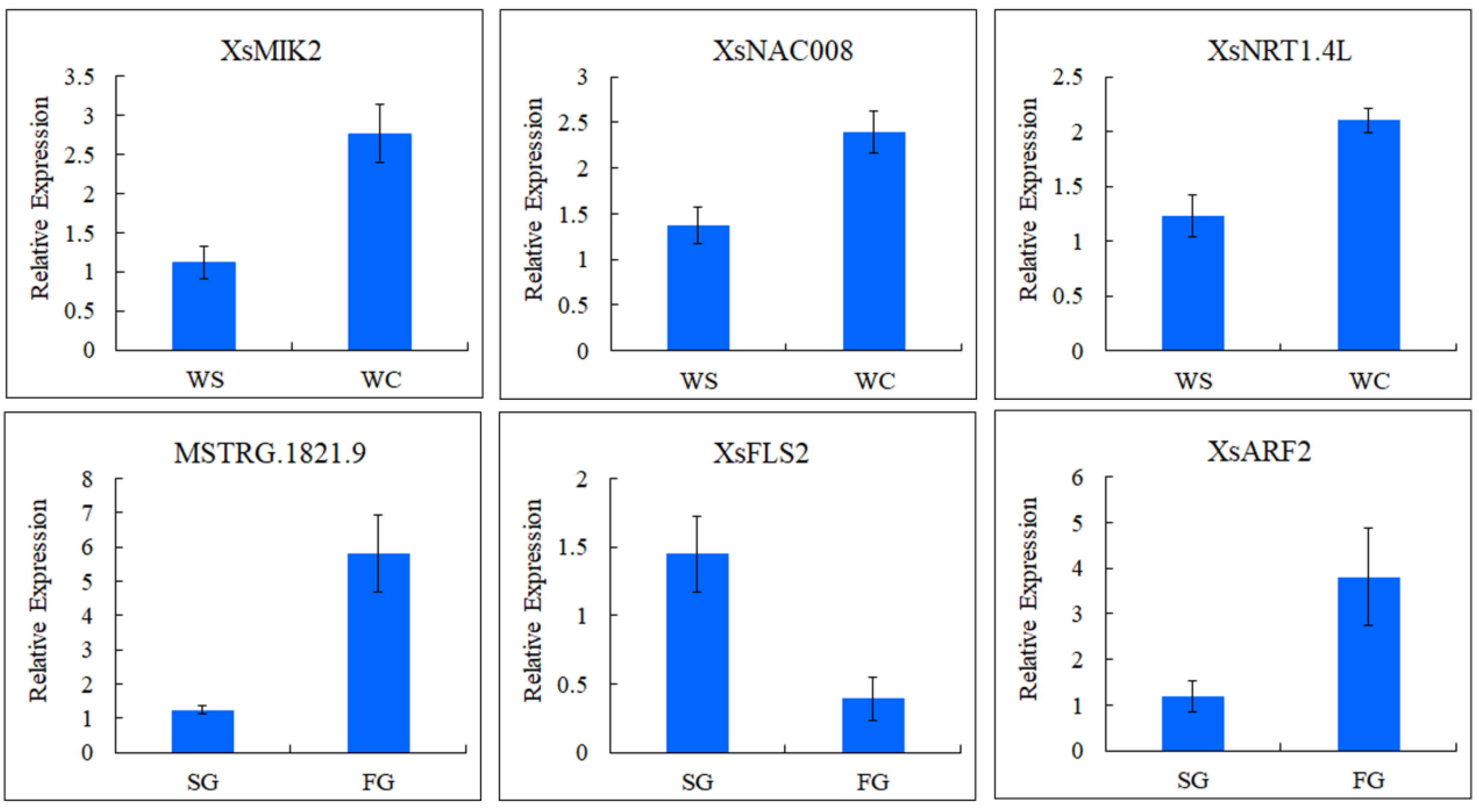 Forests 11 00840 g007