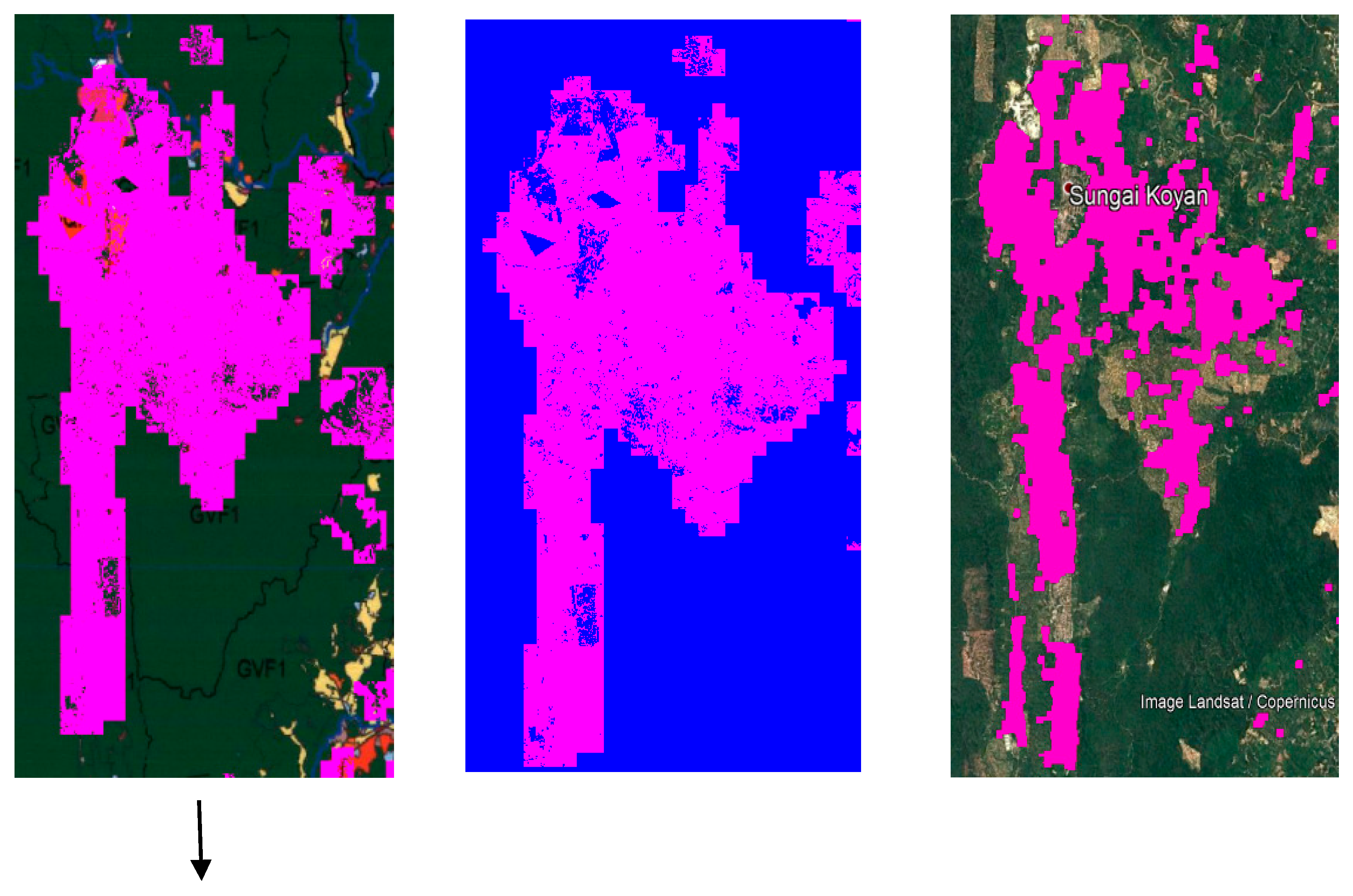 Forests 11 00858 g008a