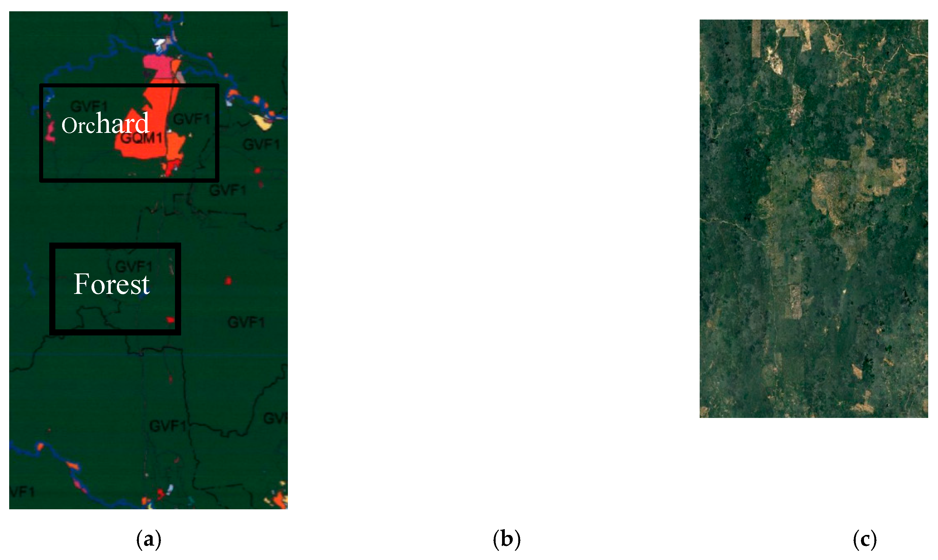 Forests 11 00858 g008b