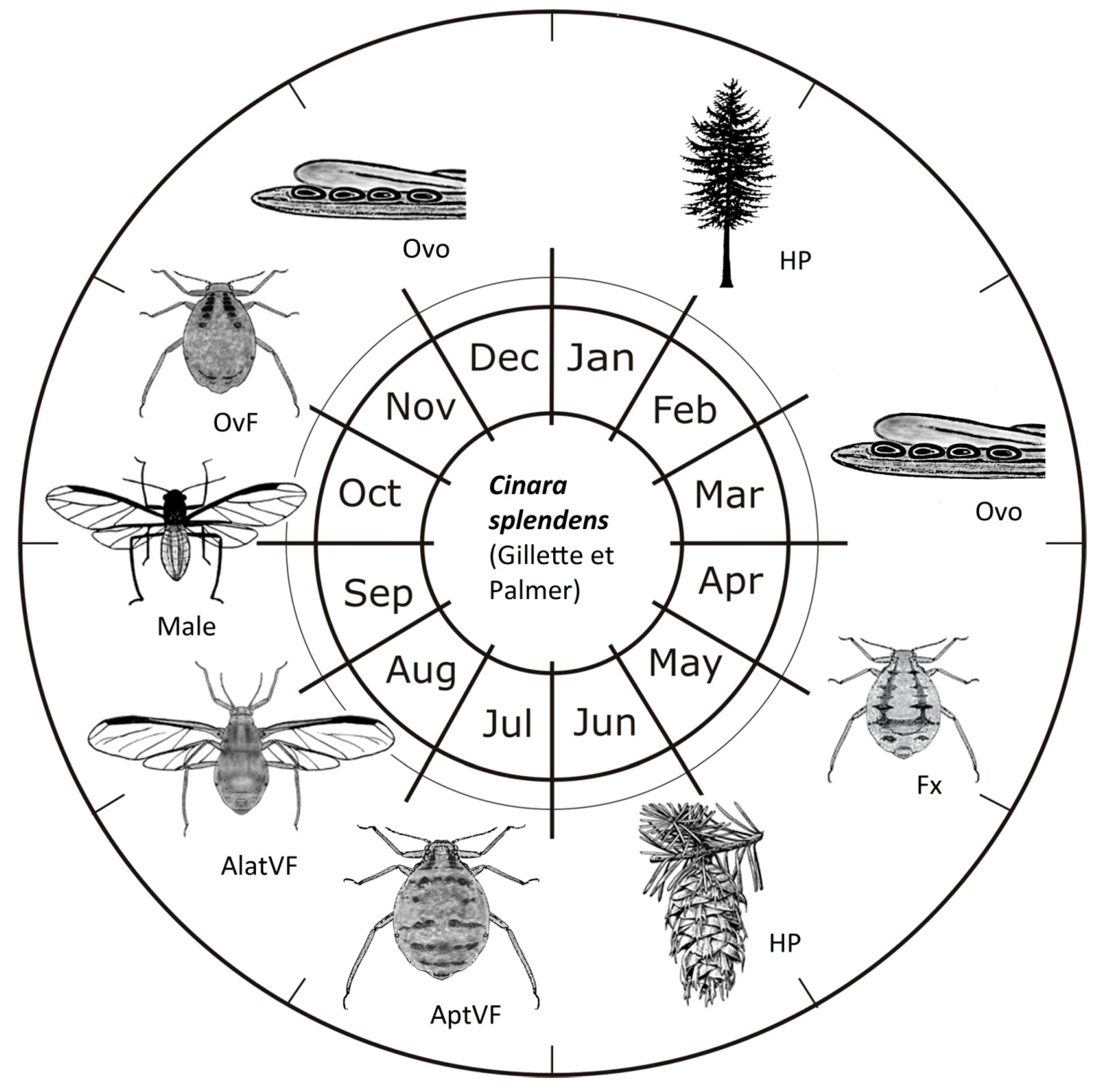 Forests 11 00911 g003 Forests 11 00911 g003