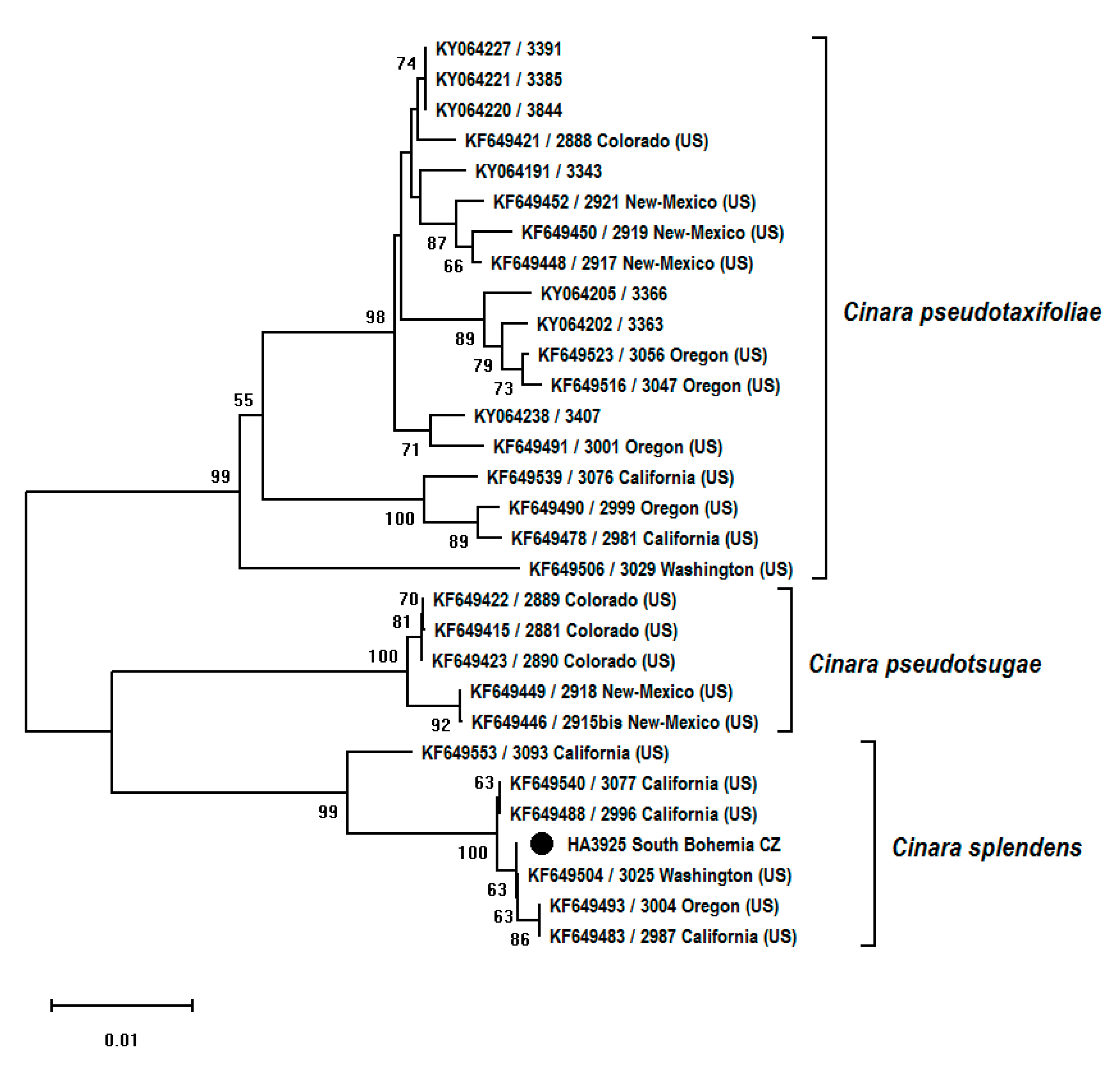 Forests 11 00911 g004 Forests 11 00911 g004