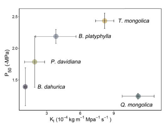 Forests 11 00942 g005