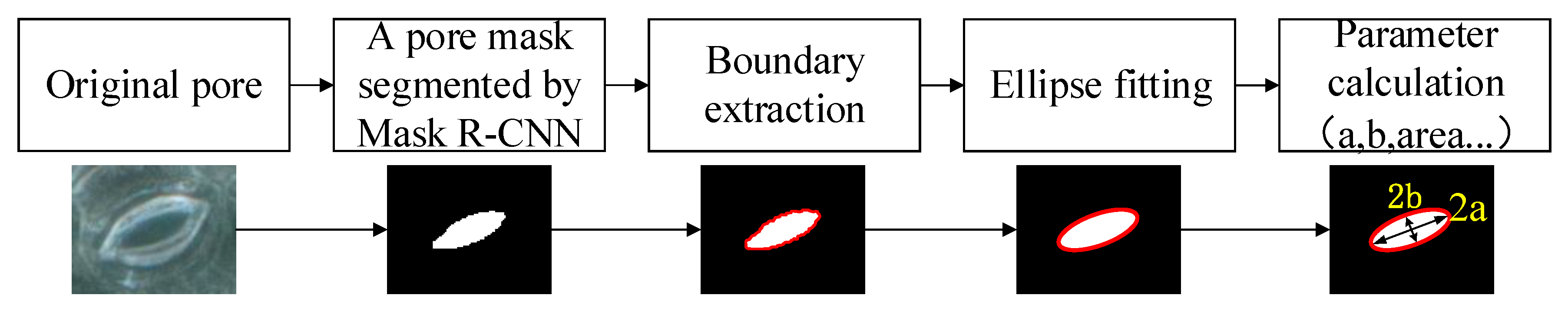 Forests 11 00954 g006