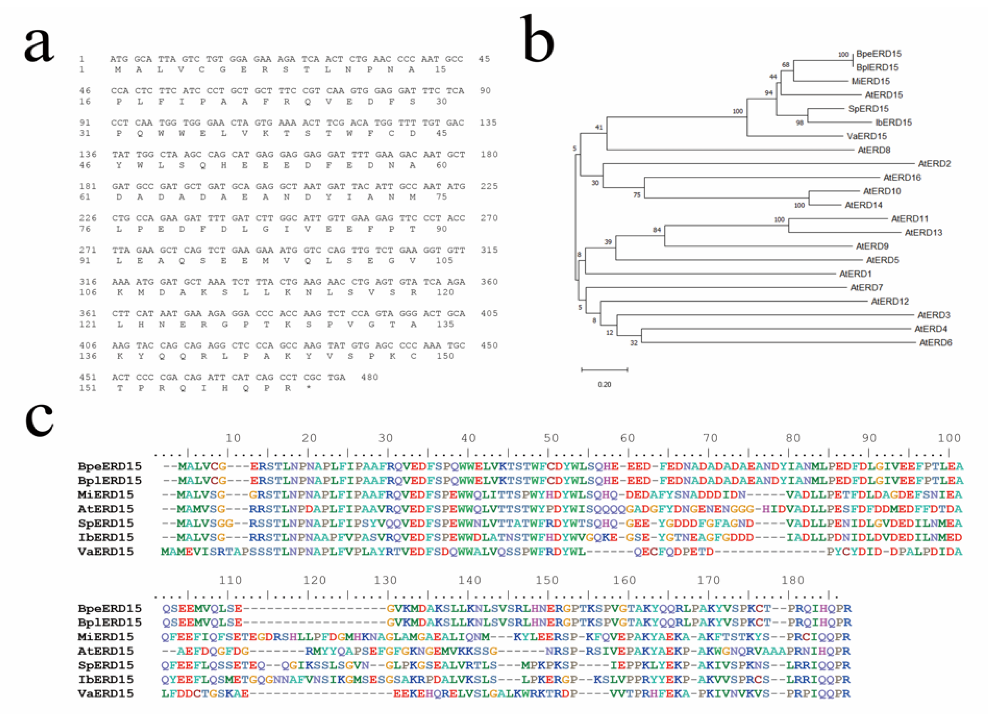 Forests 11 00978 g001