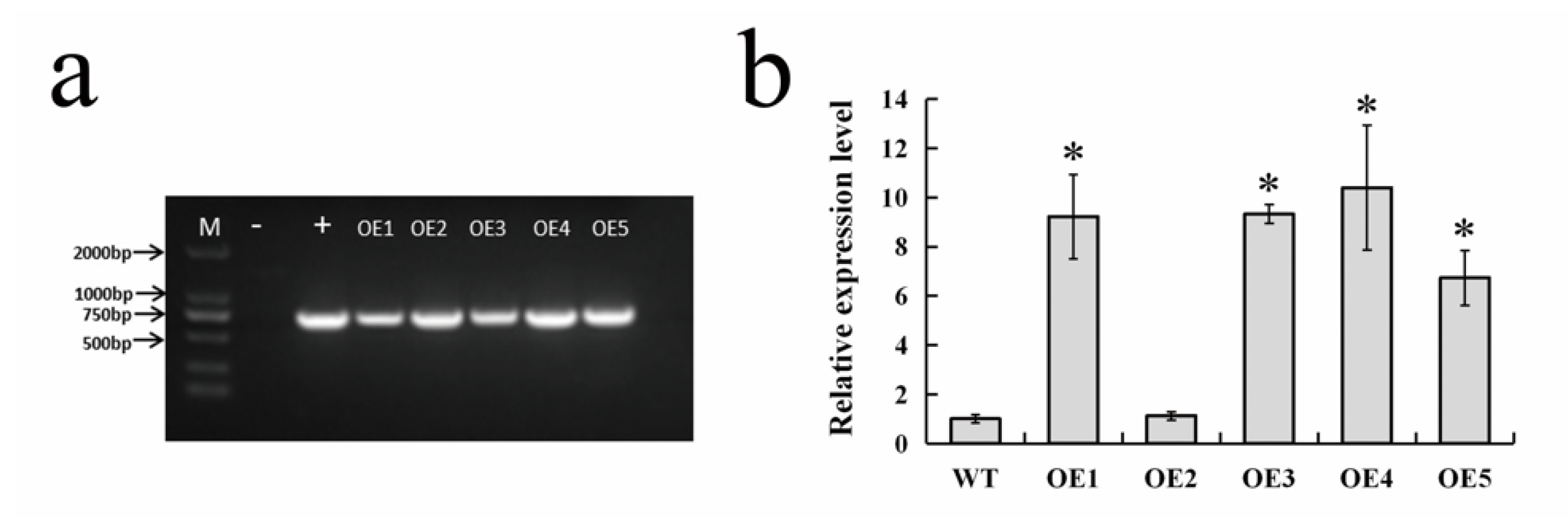 Forests 11 00978 g003