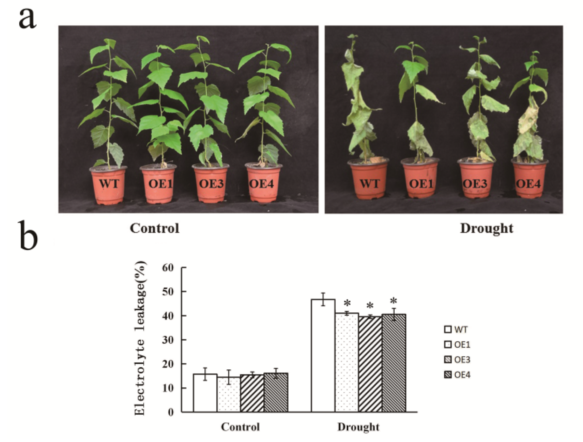 Forests 11 00978 g004