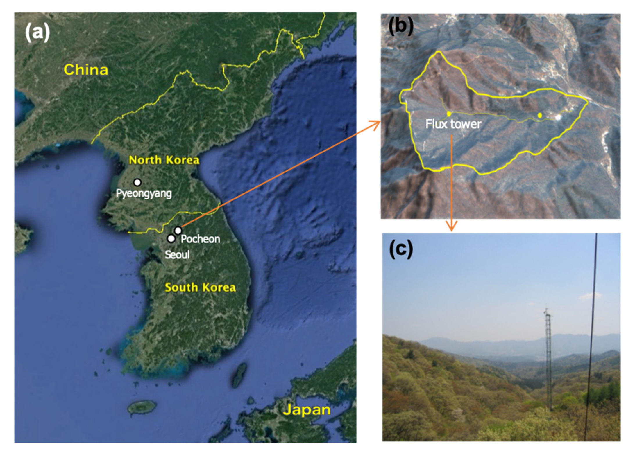 Forests 11 01000 g001 Forests 11 01000 g001