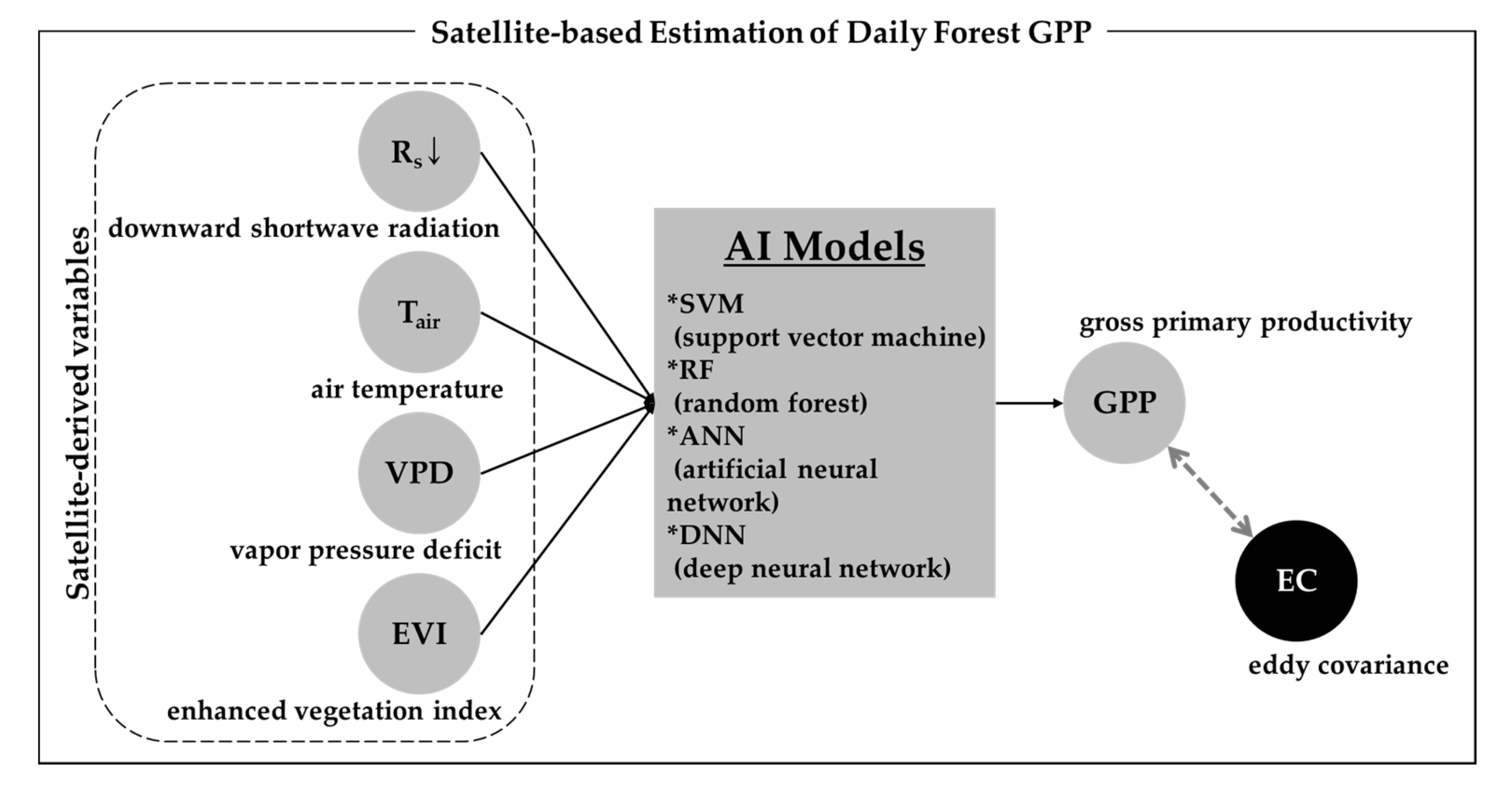 Forests 11 01000 g002 Forests 11 01000 g002
