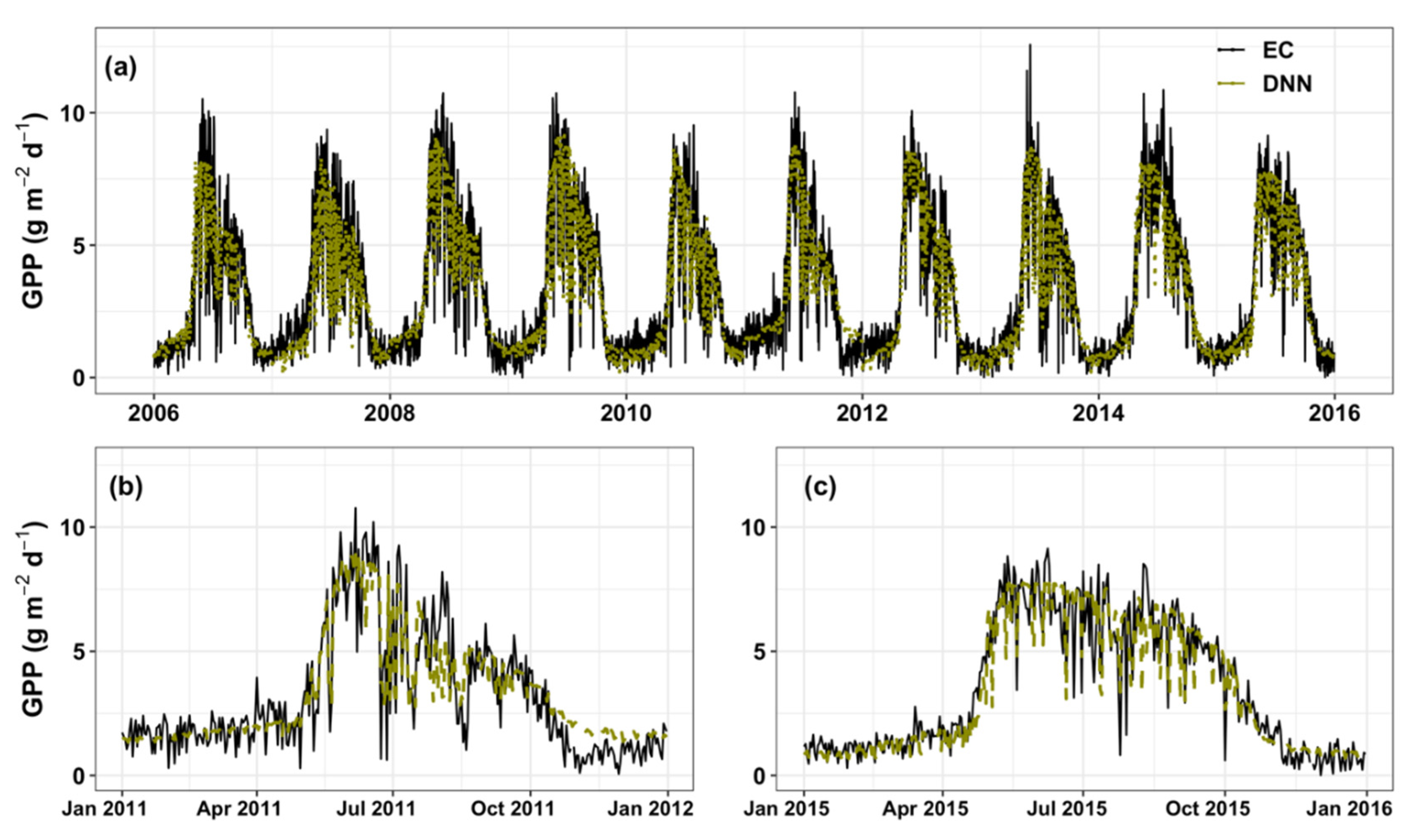 Forests 11 01000 g007 Forests 11 01000 g007