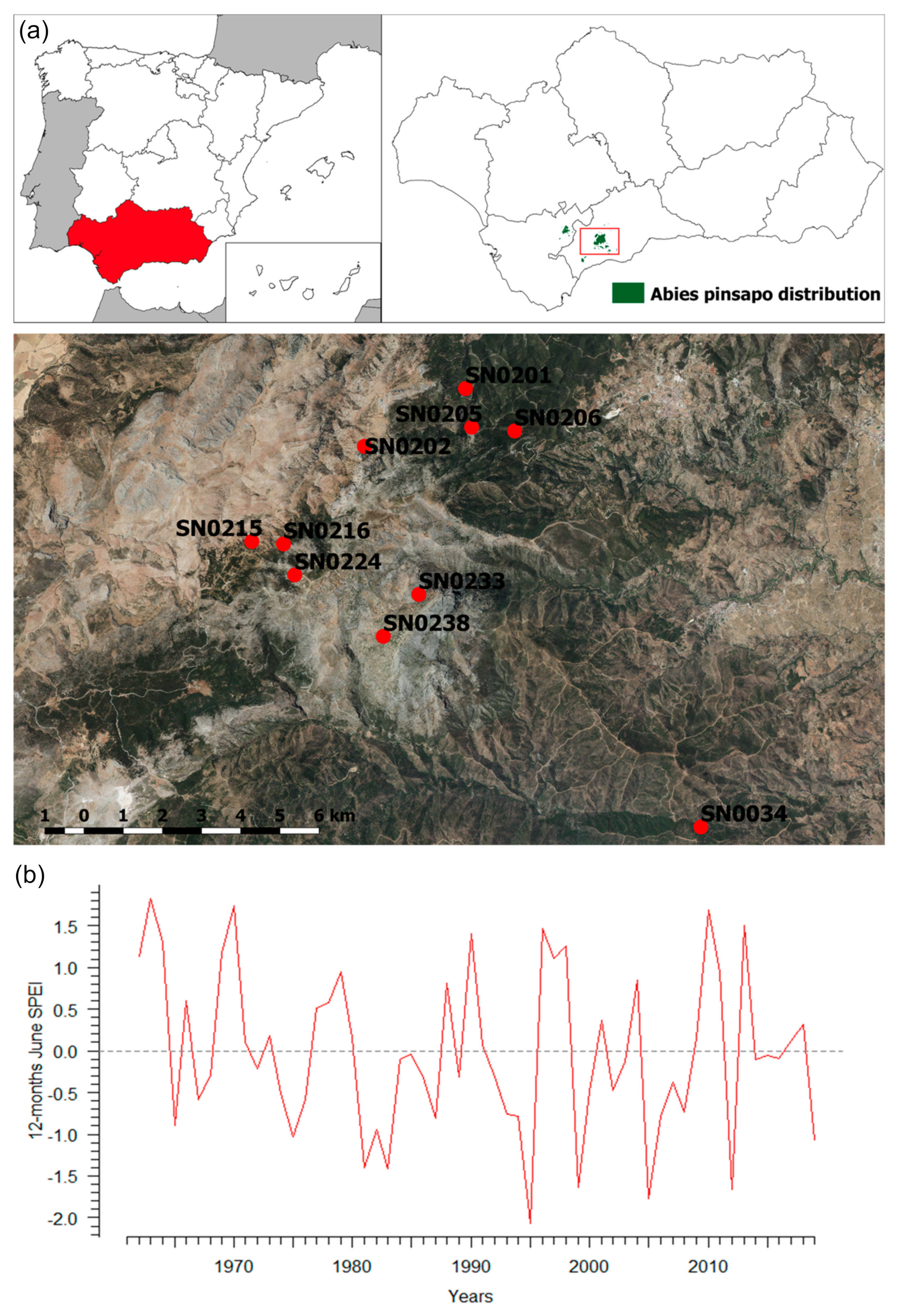 Forests 11 01002 g001 Forests 11 01002 g001