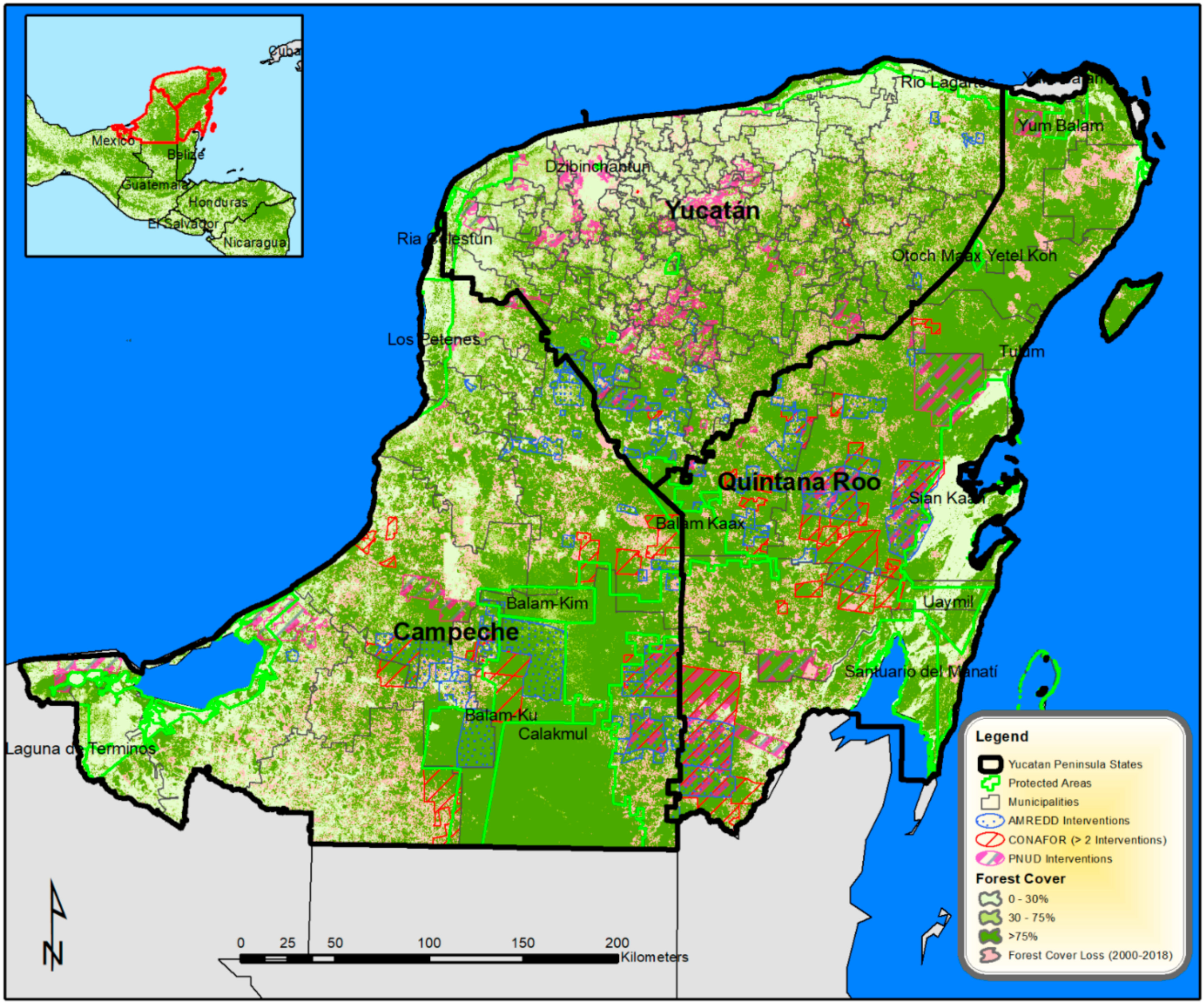 Forests | Free Full-Text | Mixed Effectiveness of REDD+ Subnational  Initiatives after 10 Years of Interventions on the Yucatan Peninsula,  Mexico | HTML