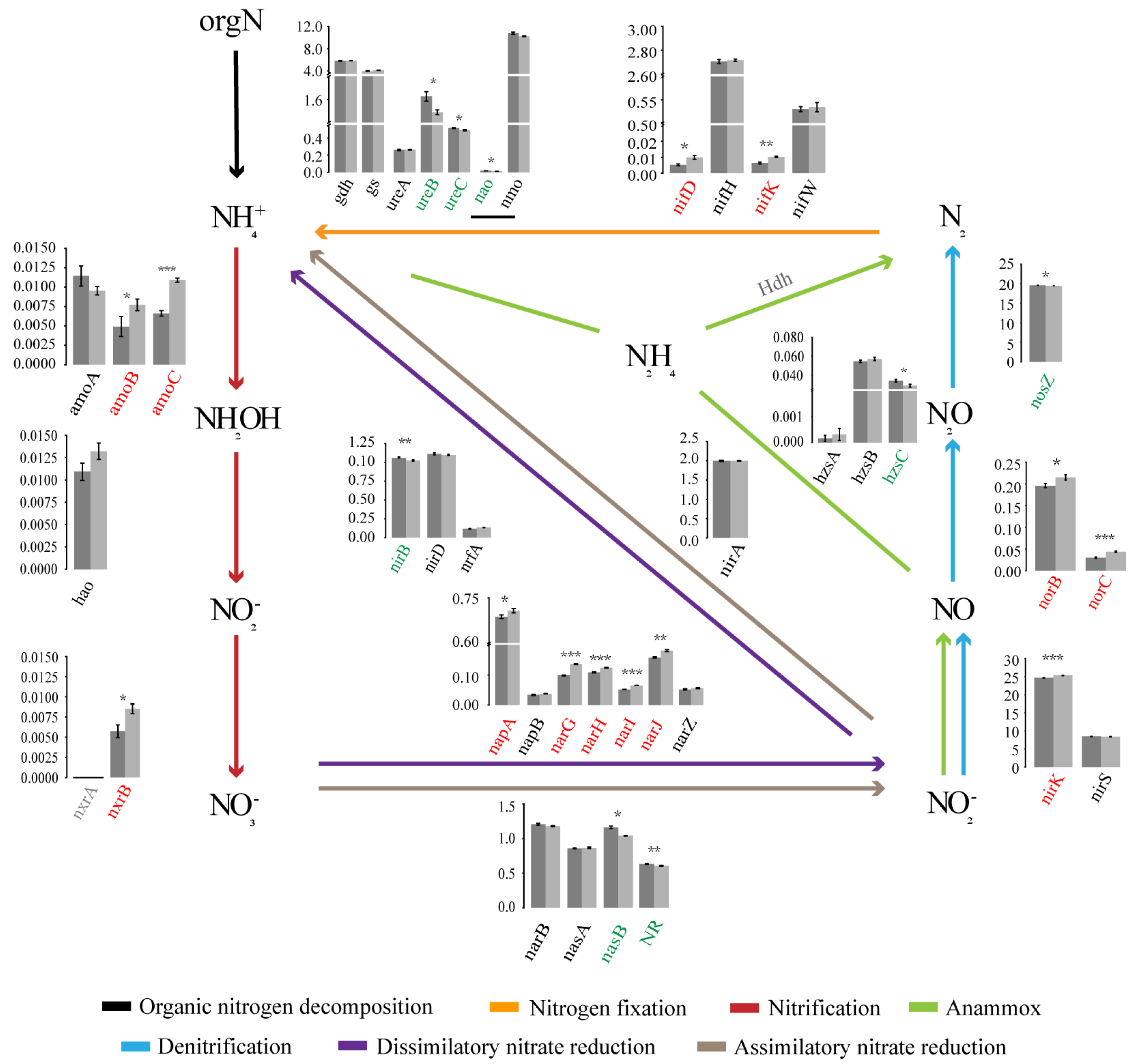 Forests Free Full Text Effects Of Soil Microbes On Forest Recovery To Climax Community Through The Regulation Of Nitrogen Cycling Html