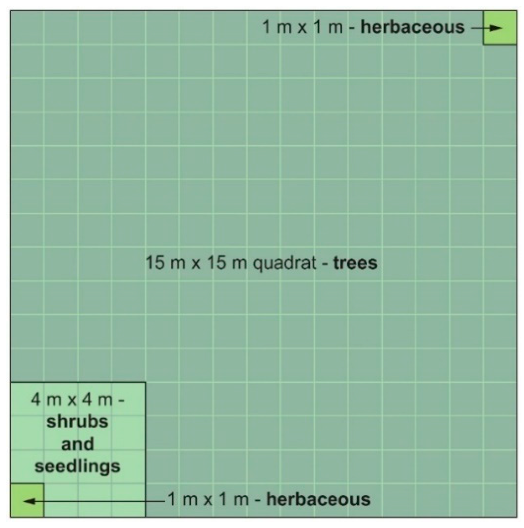 Forests 11 01040 g002