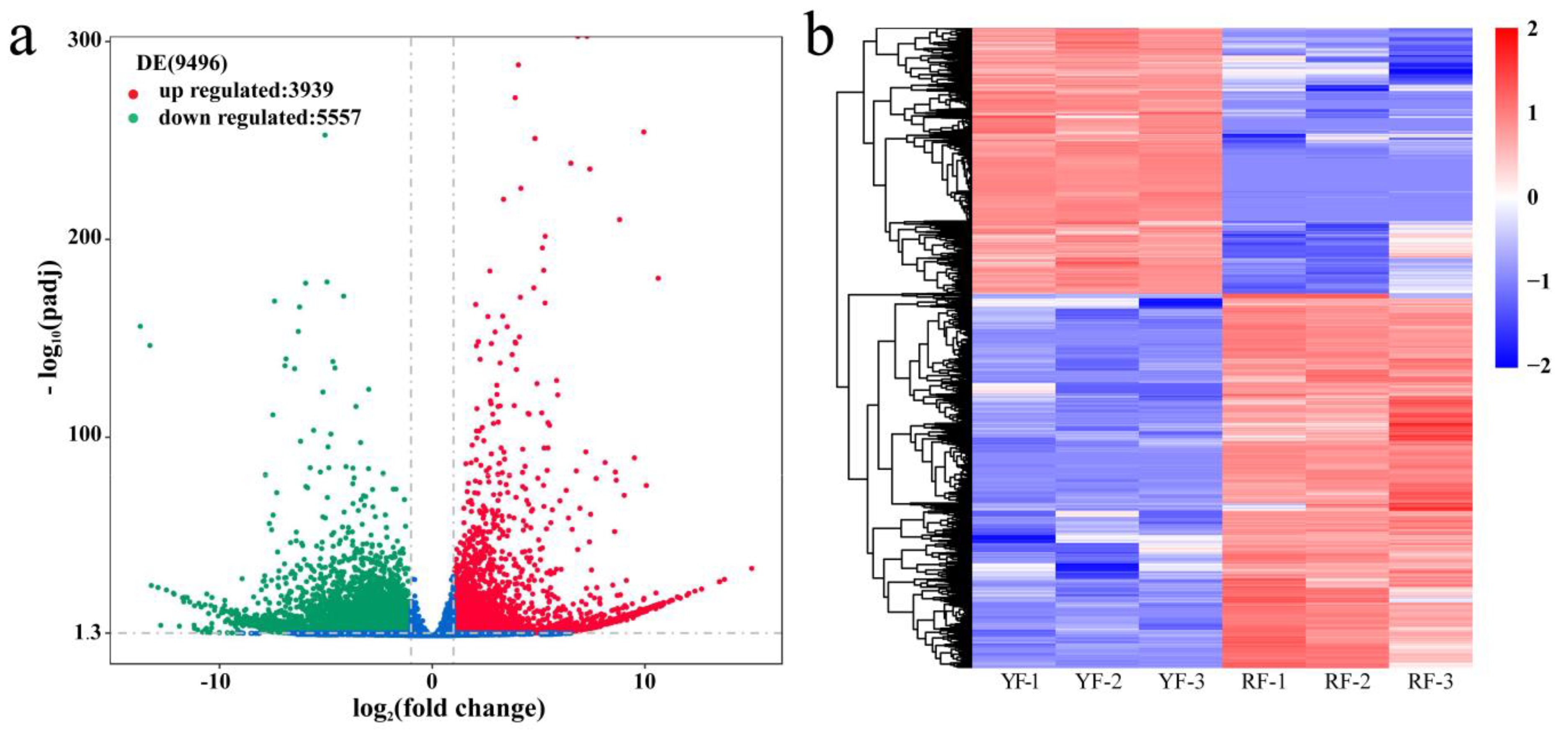 Forests 11 01065 g003