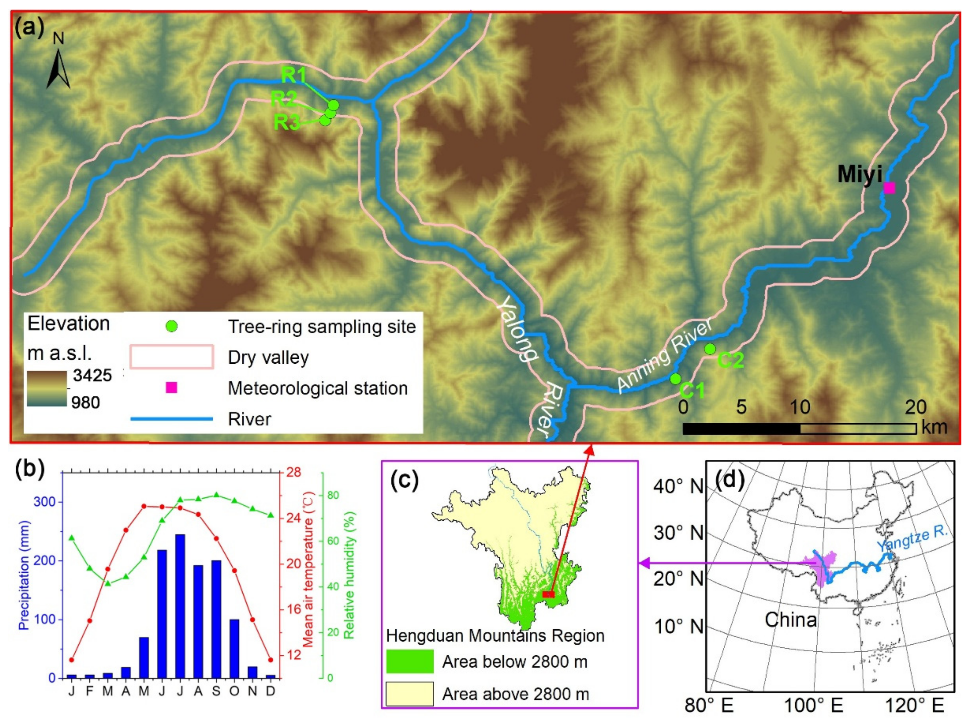 Forests 11 01066 g001