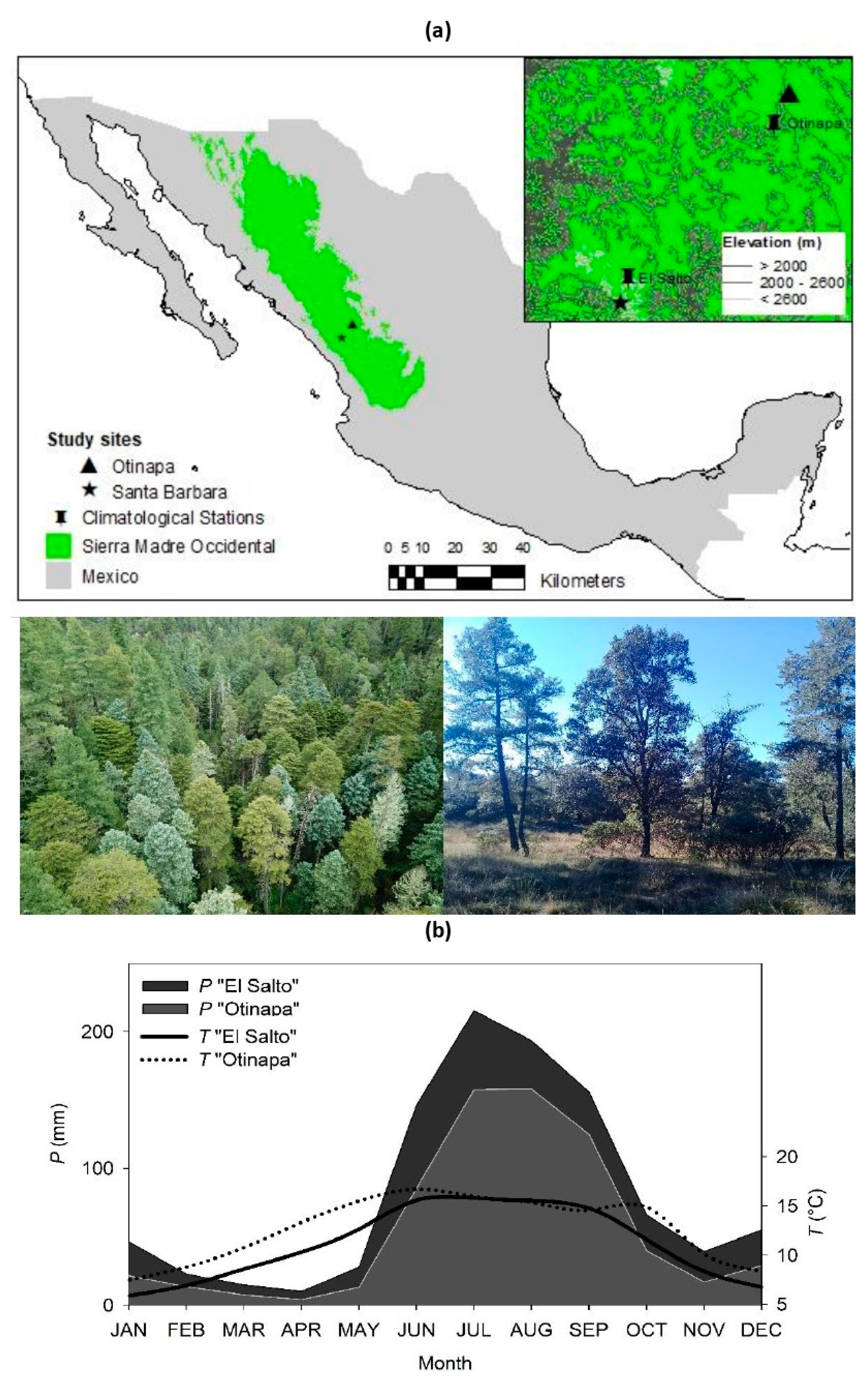 Forests | Free Full-Text | Influence of Climate on Carbon Sequestration in  Conifers Growing under Contrasting Hydro-Climatic Conditions | HTML