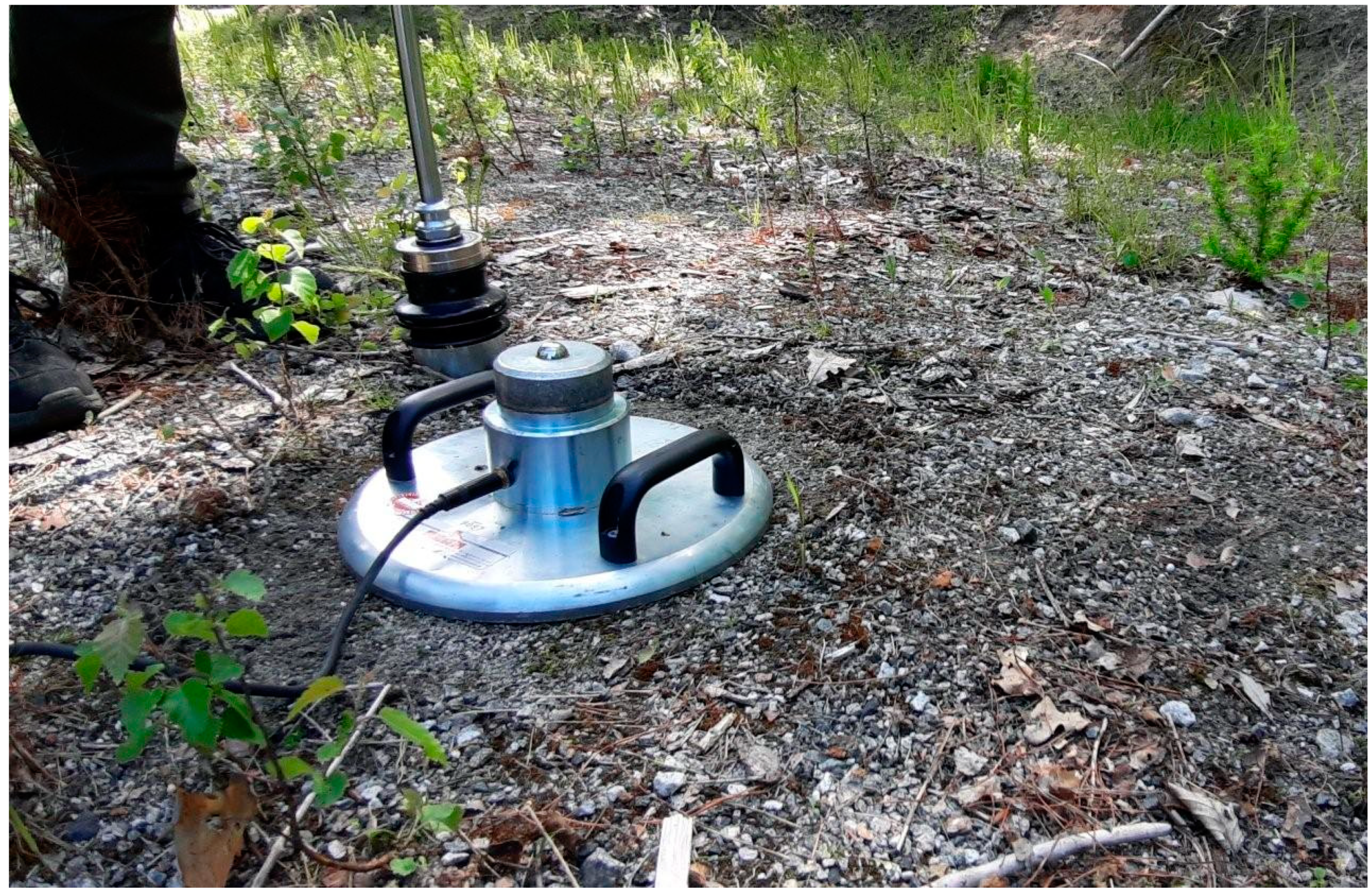 Forests 11 01137 g002