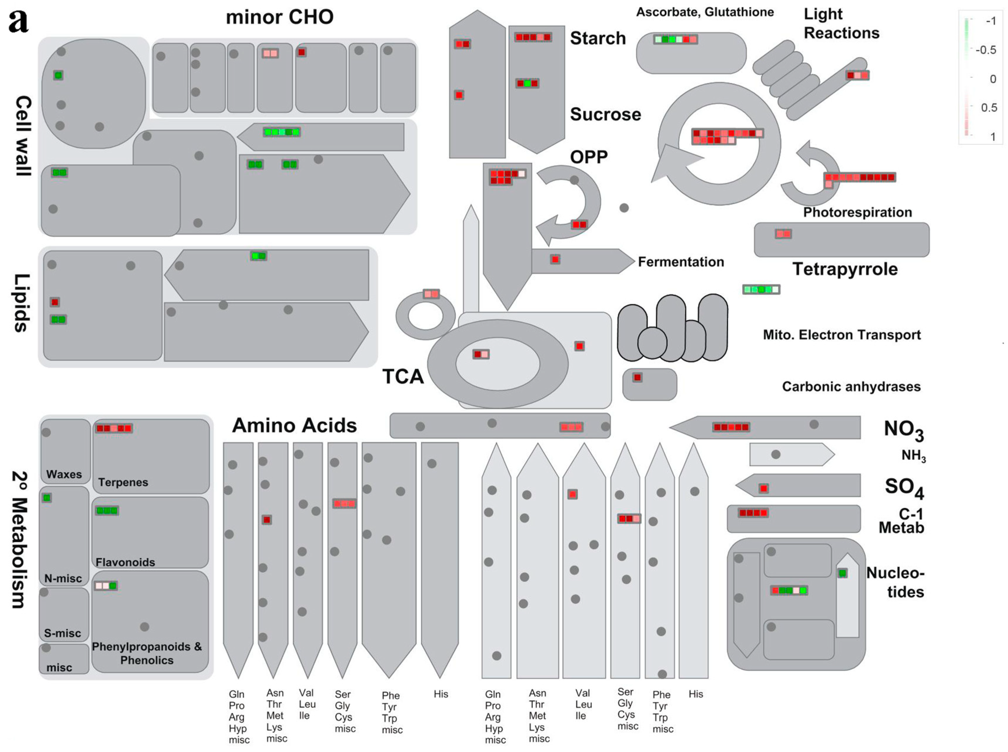 Forests 11 01154 g003a Forests 11 01154 g003a