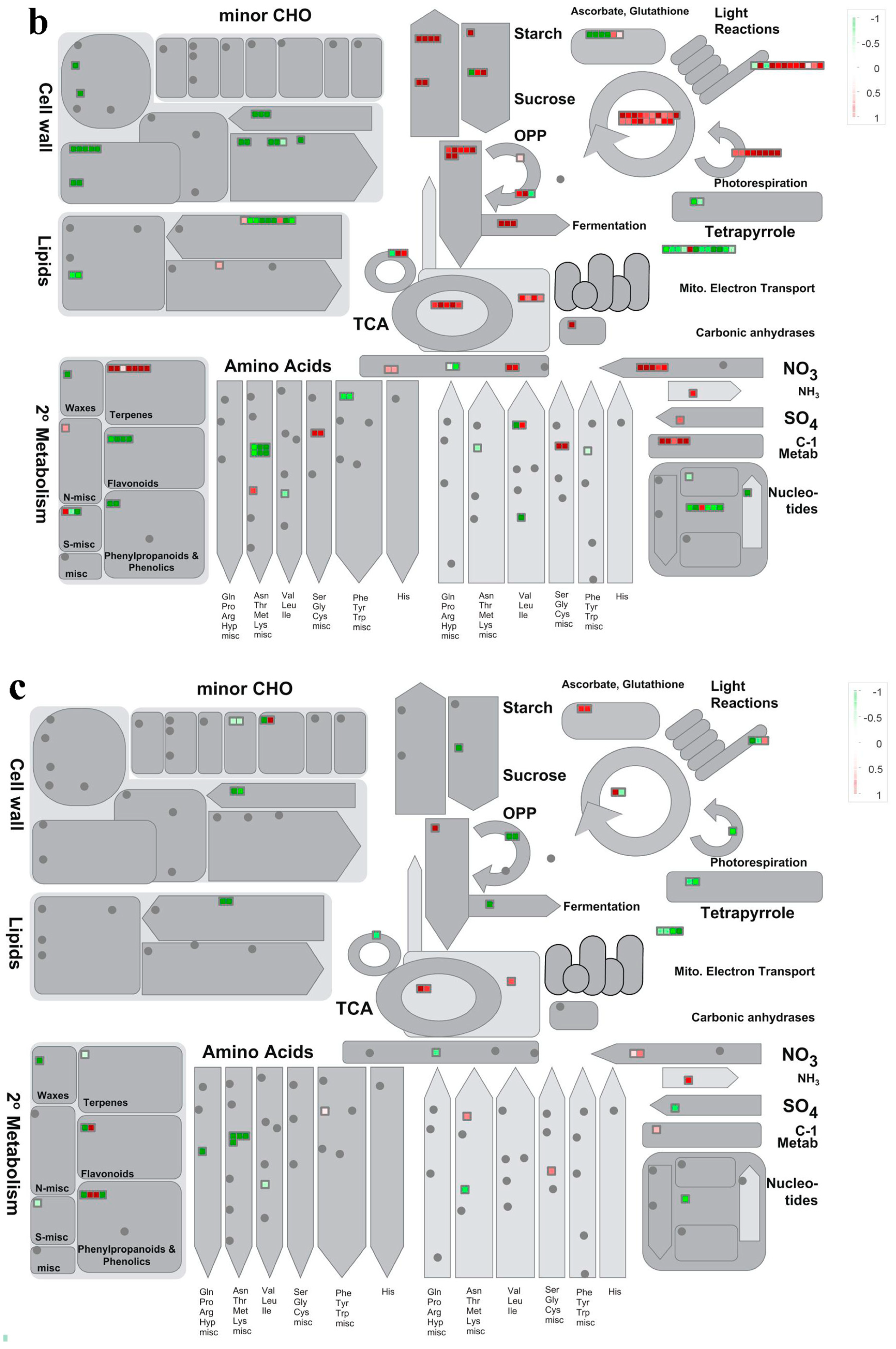 Forests 11 01154 g003b Forests 11 01154 g003b