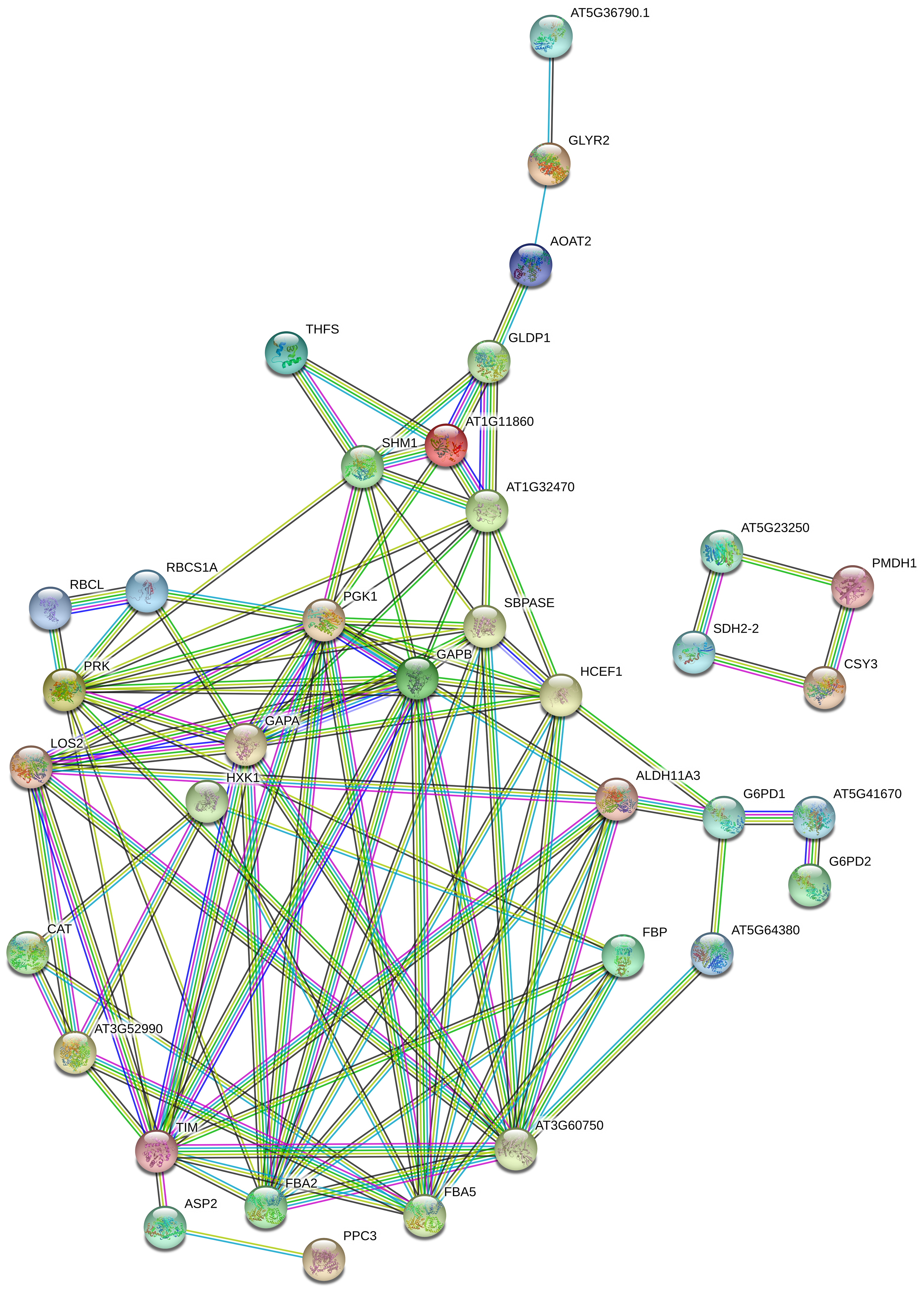 Forests 11 01154 g004 Forests 11 01154 g004