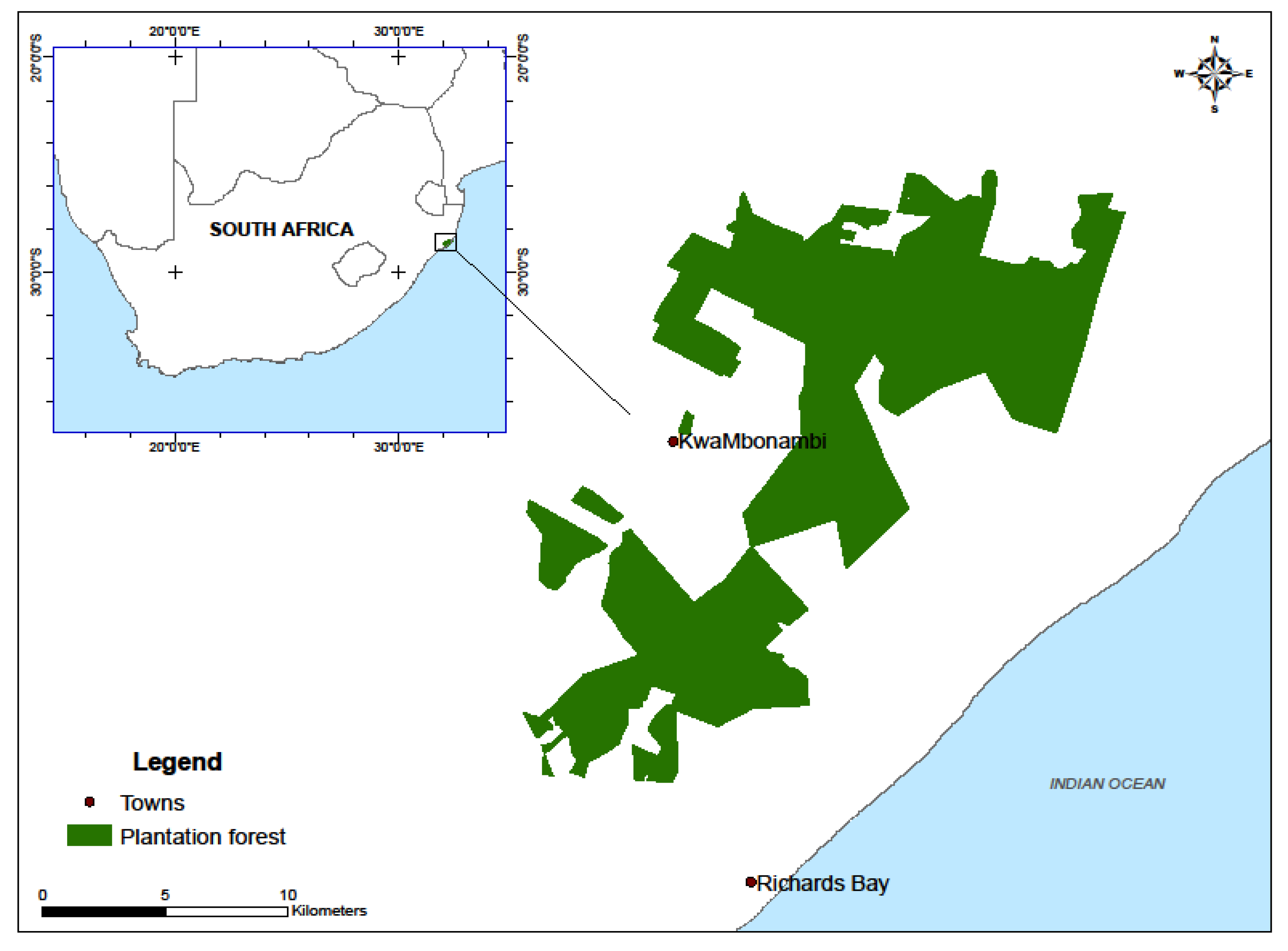 Forests 11 01283 g001 Forests 11 01283 g001