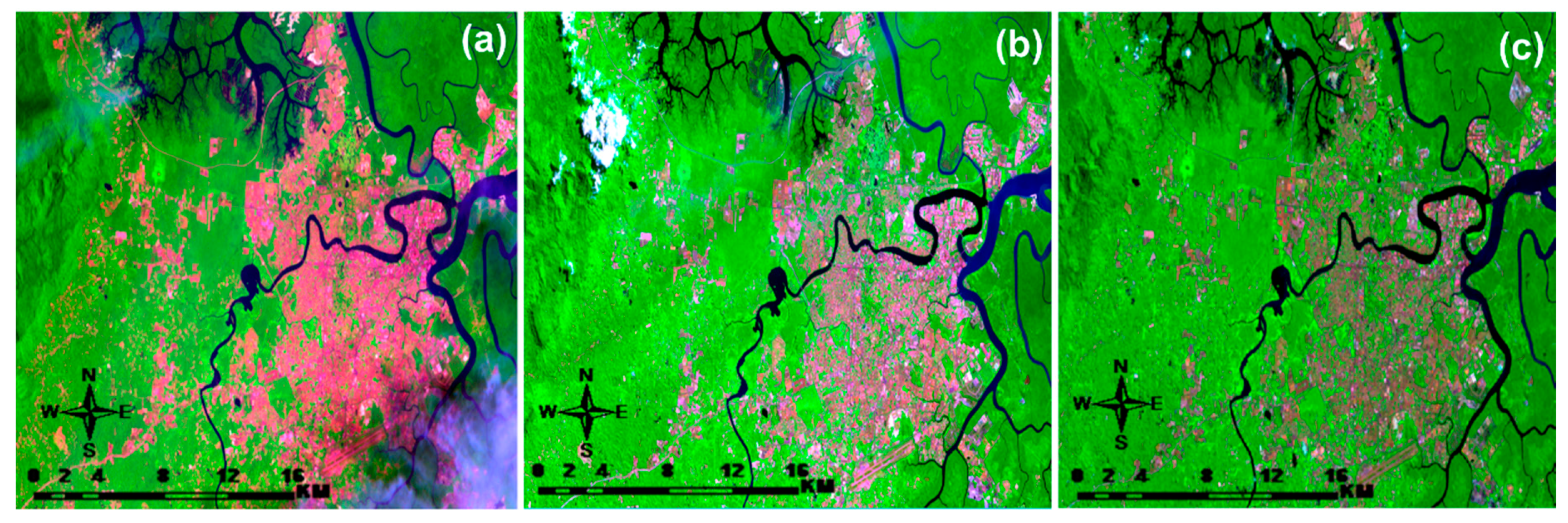 Forests 11 01285 g003 Forests 11 01285 g003